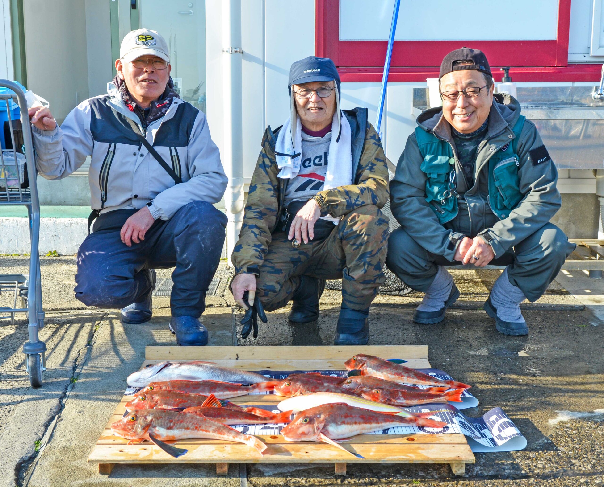 ✿マダイ・ホウボウ・イトヨリダイ✿