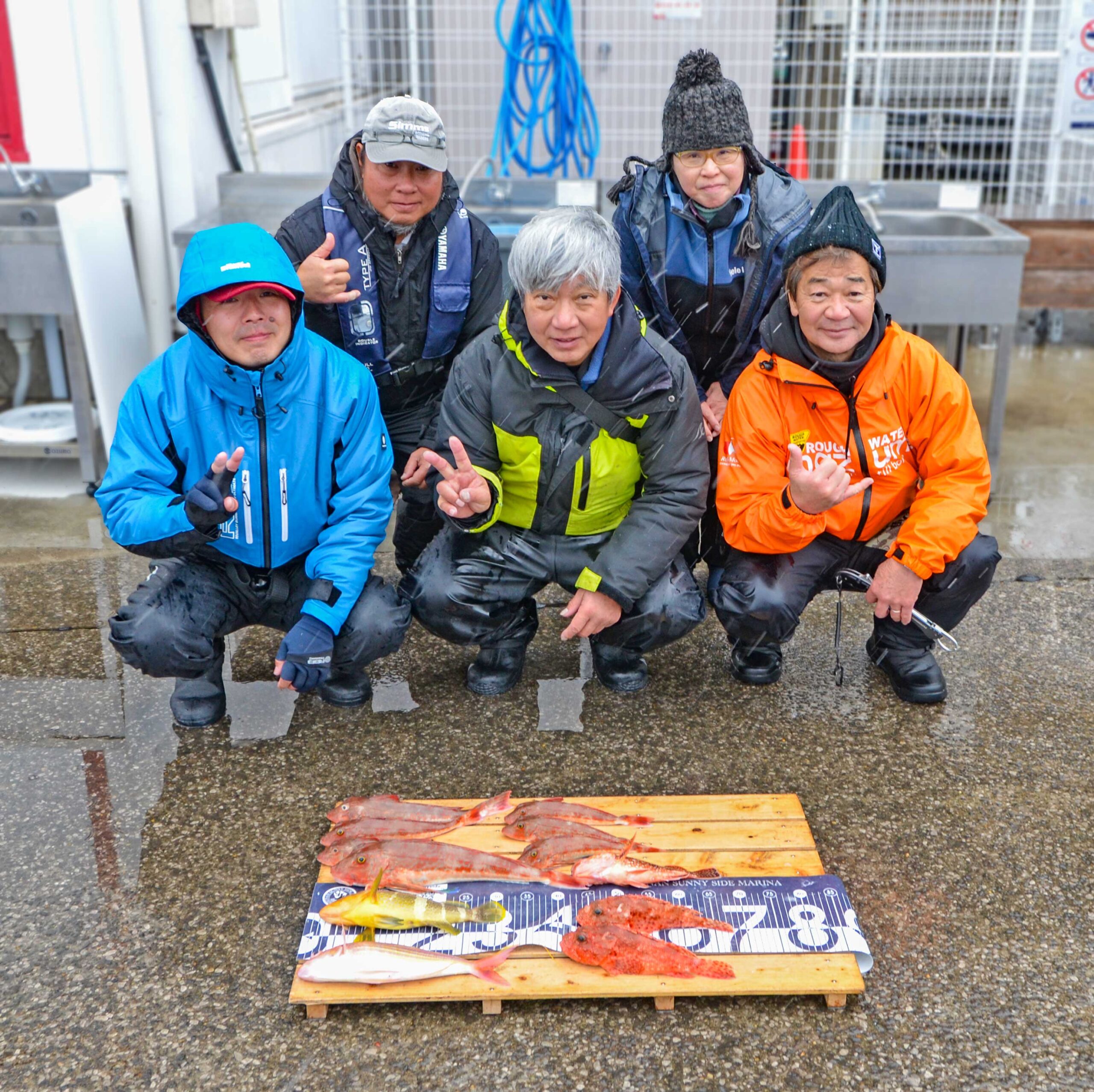 ✿ホウボウ・アオハタ・イトヨリダイ・オニカサゴ・ウッカリカサゴ✿