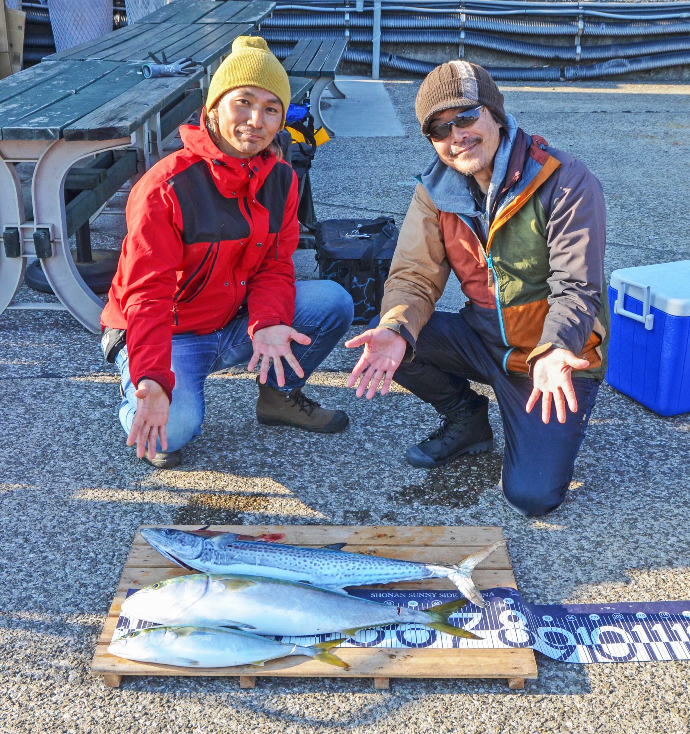 ✿ワラサ・イナダ・サワラ・ホウボウ✿