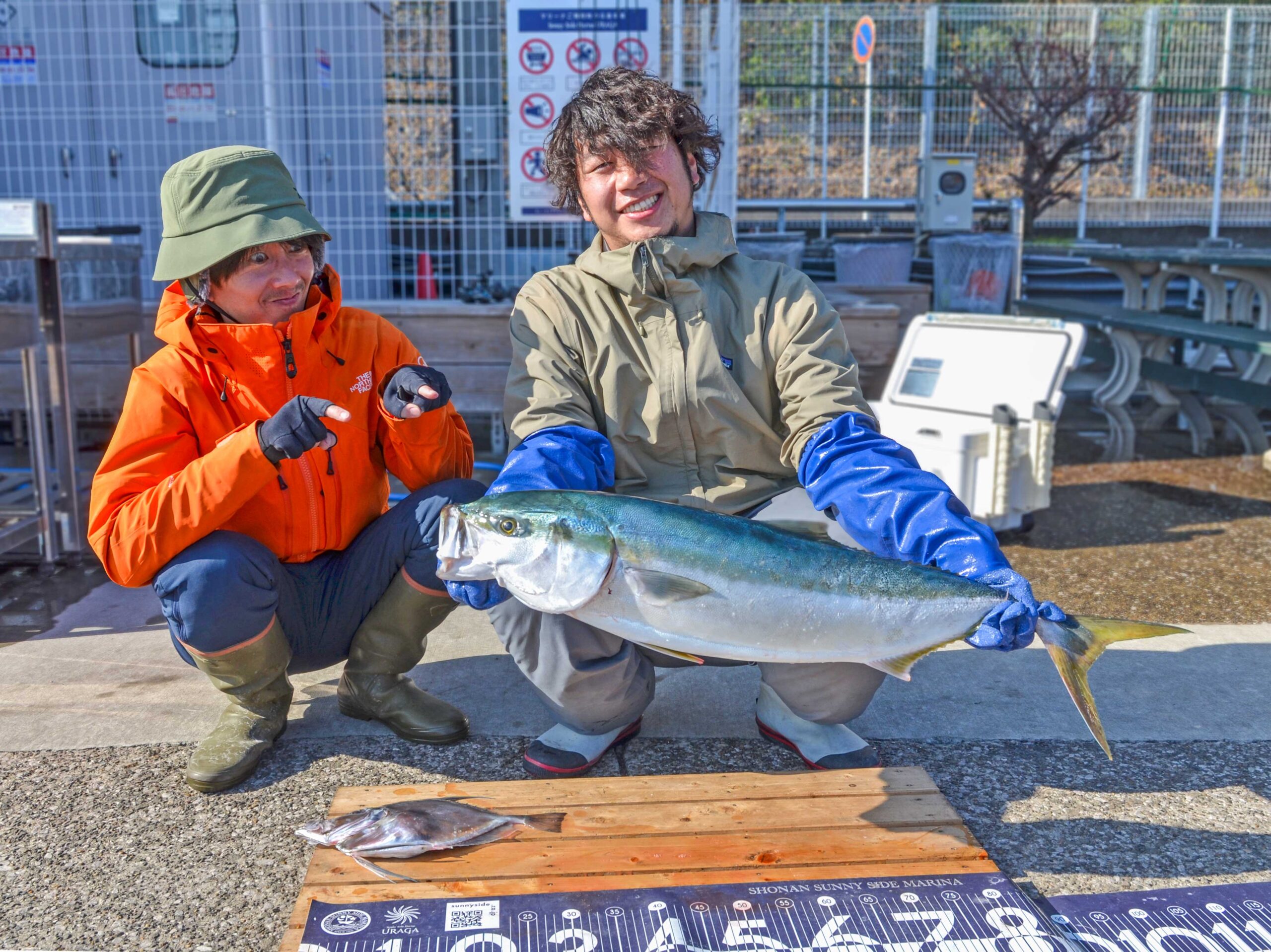 ✿ブリ・カガミダイ✿