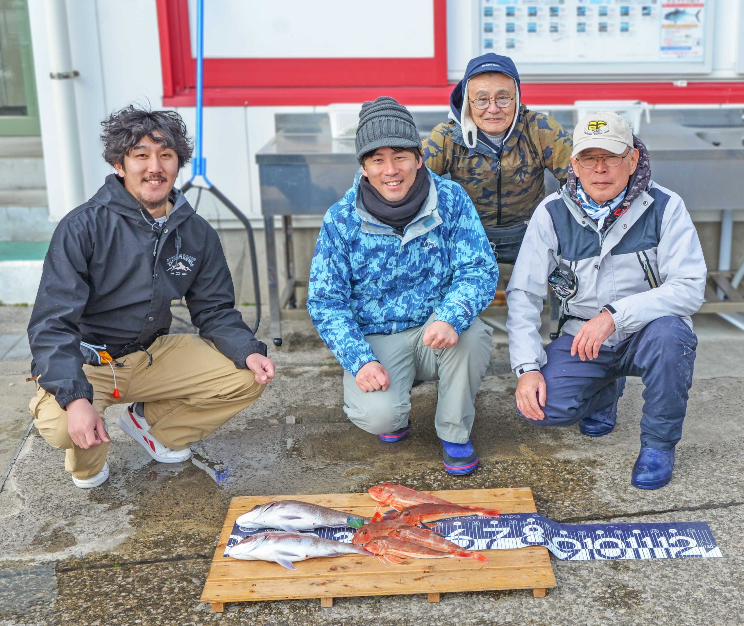 ✿マダイ・ホウボウ✿