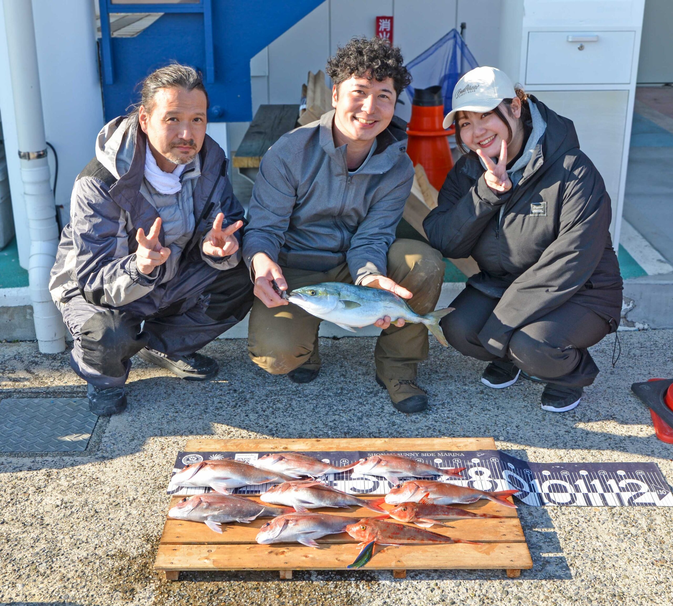 ✿マダイ・イナダ・ホウボウ✿