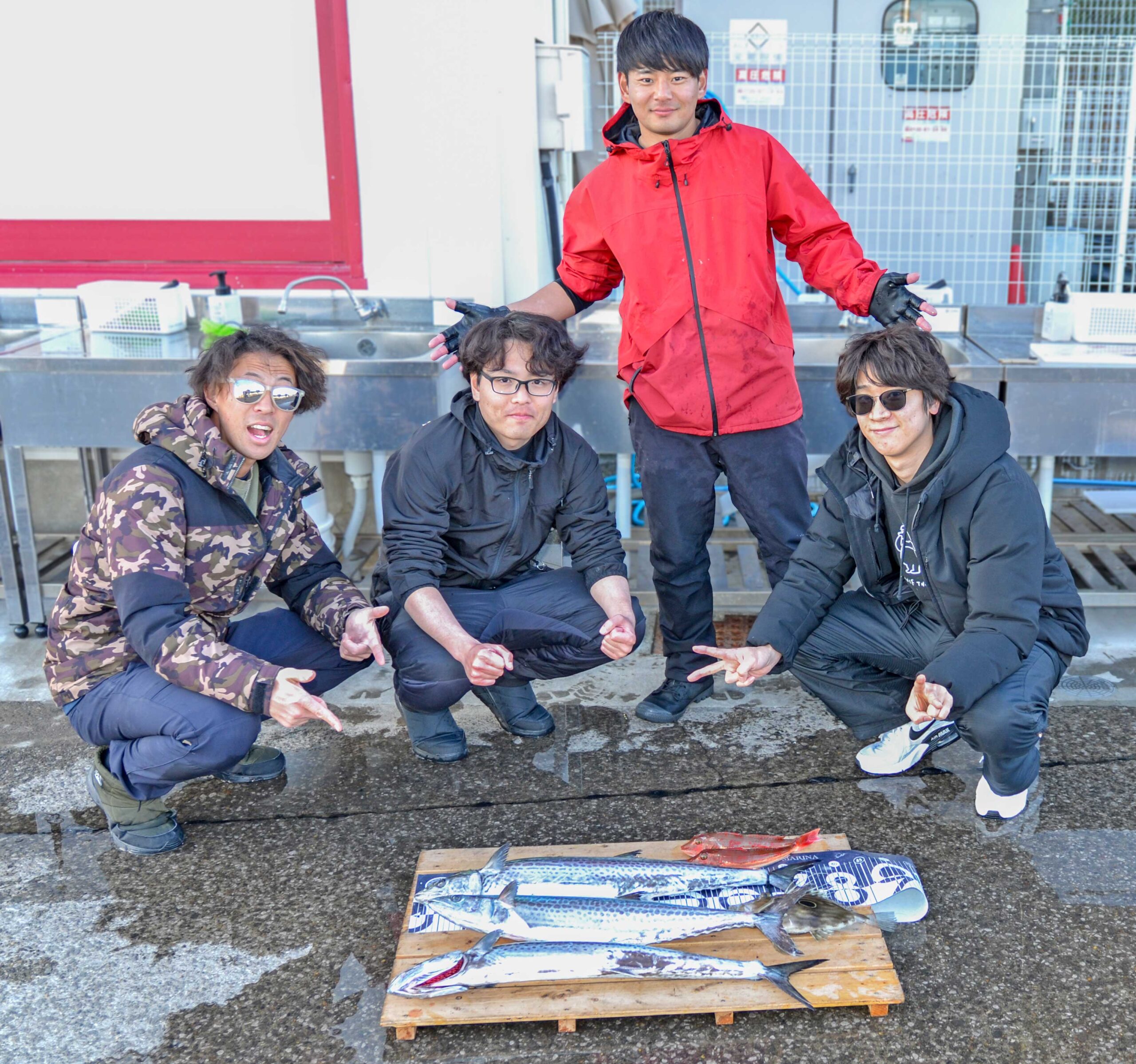 ✿サワラ・マトウダイ・ホウボウ✿