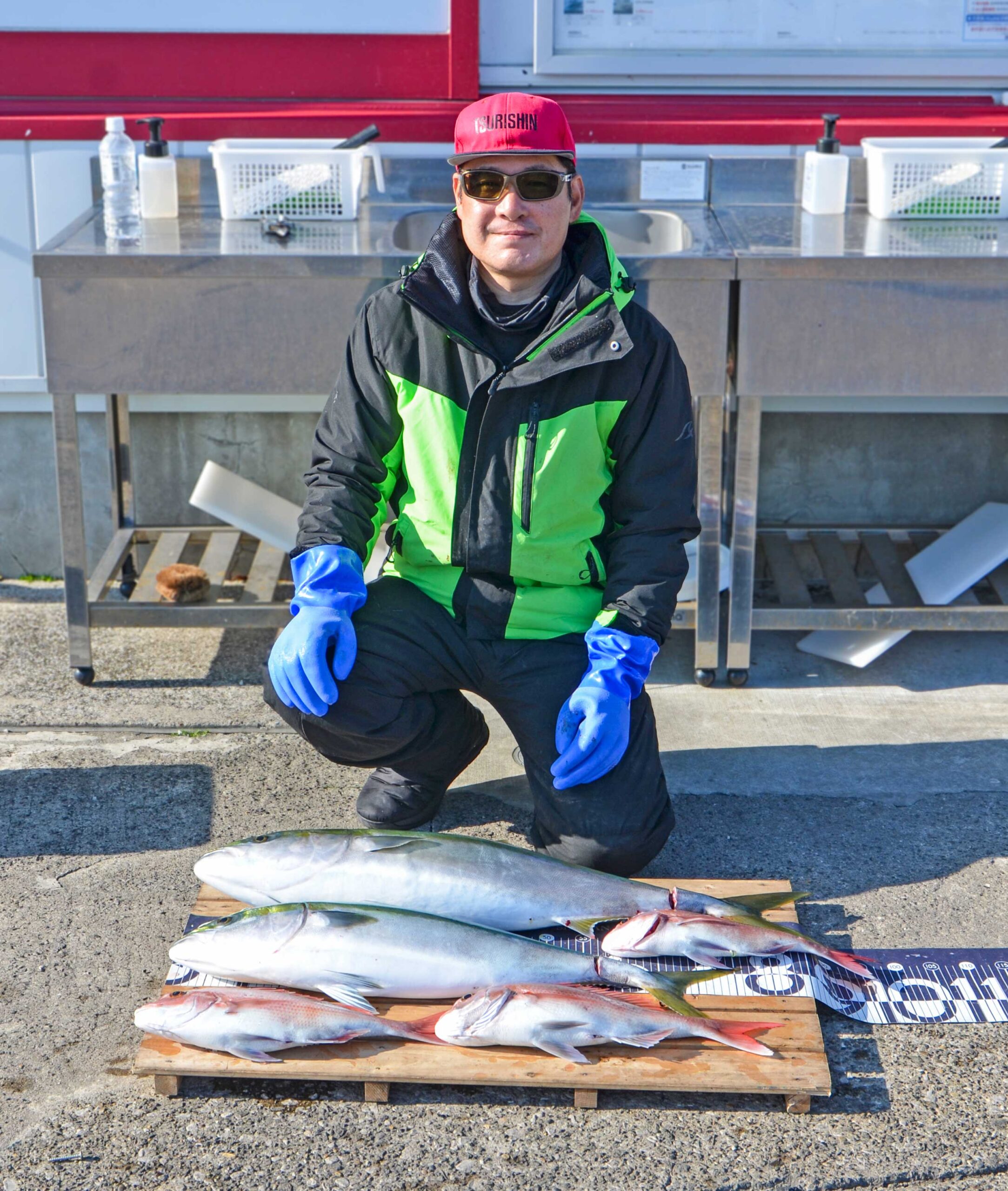 ✿ブリ・ワラサ・マダイ✿