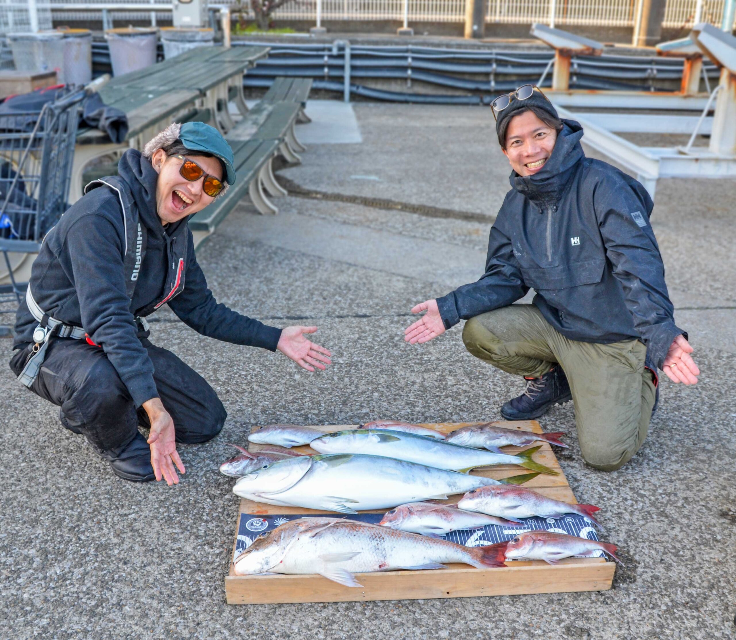 ✿マダイ・ブリ・ワラサ✿