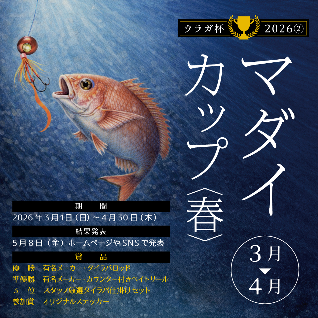 のっこみ”シーズン到来😍「マダイカップ🏆2026春」開催 - 湘南サニー