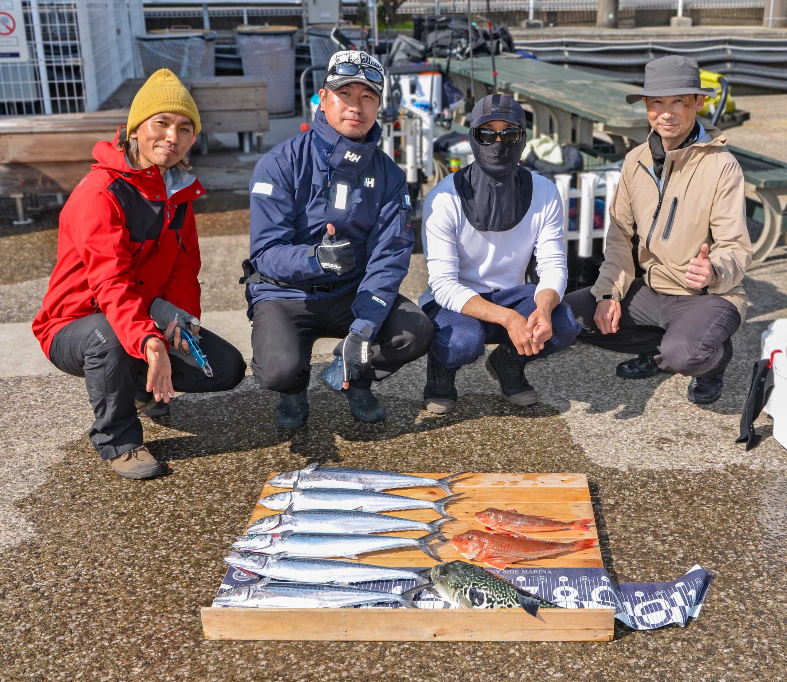 ✿サゴシ・トラフグ・ホウボウ✿