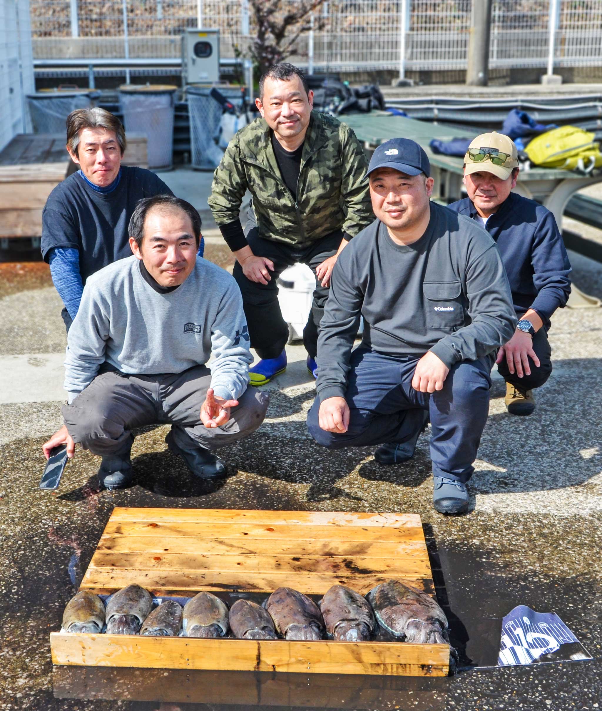 ✿モンゴウイカ✿