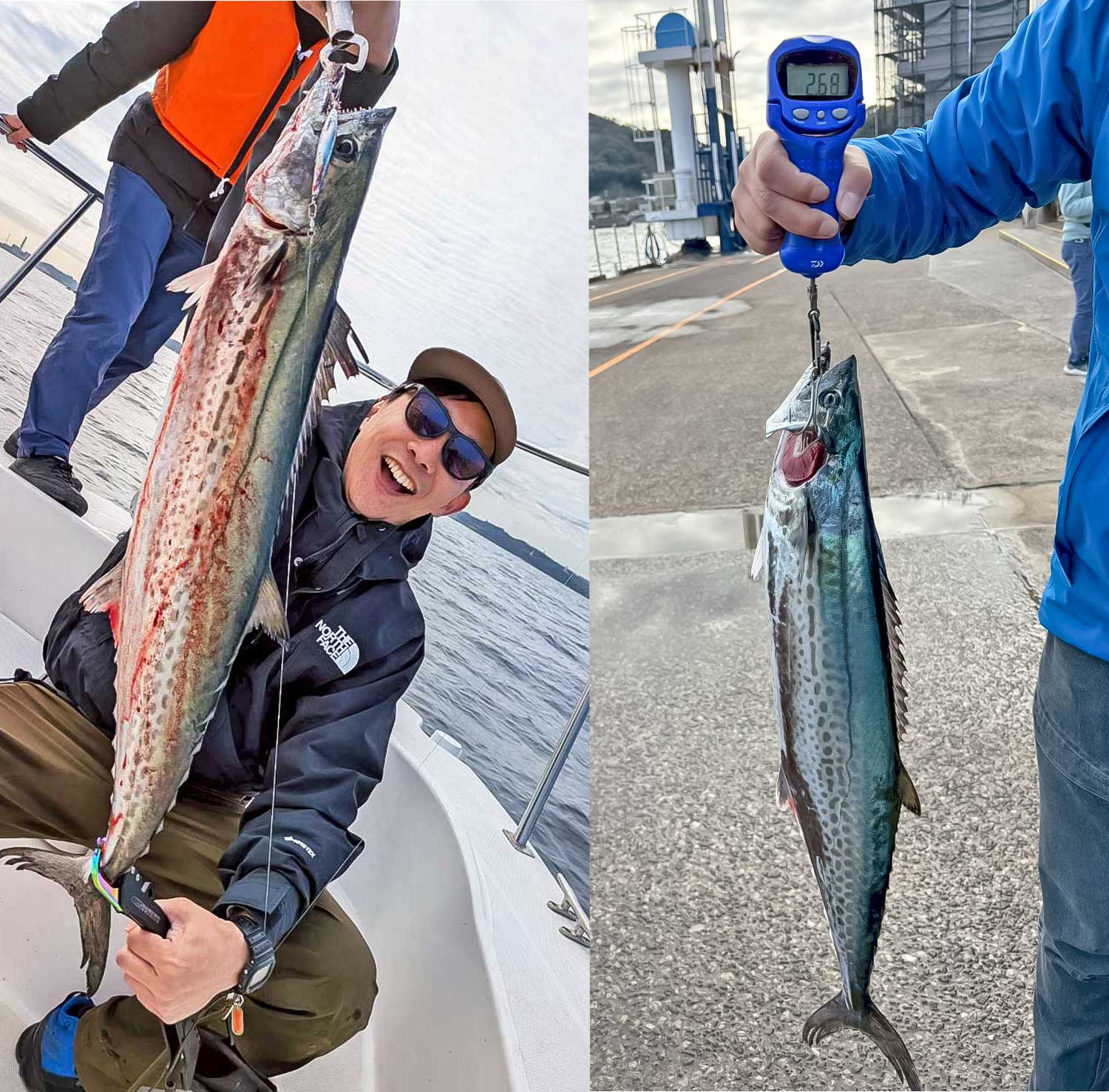 ✿サワラ・マゴチ・カサゴ✿