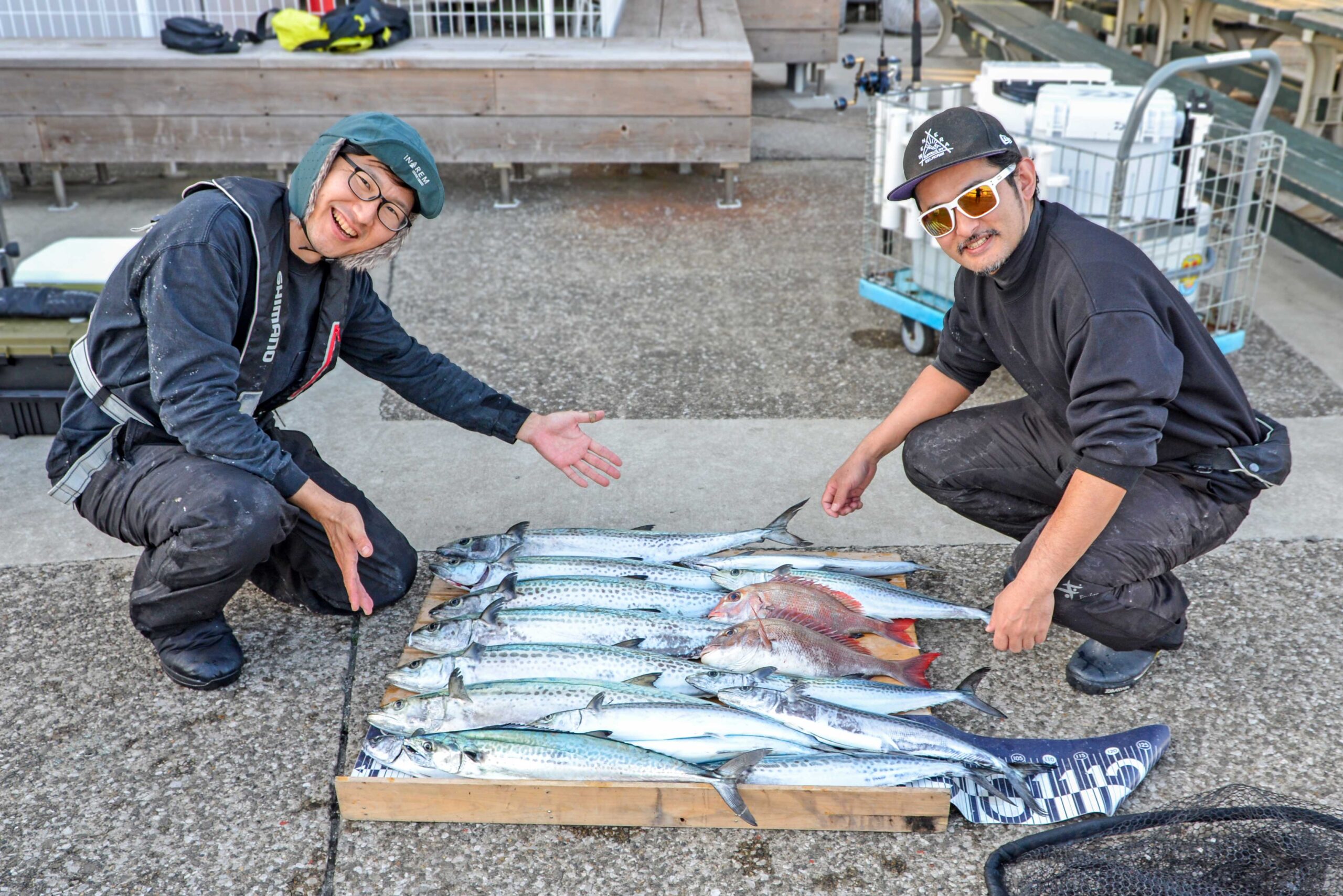 ✿サワラ・マダイ✿