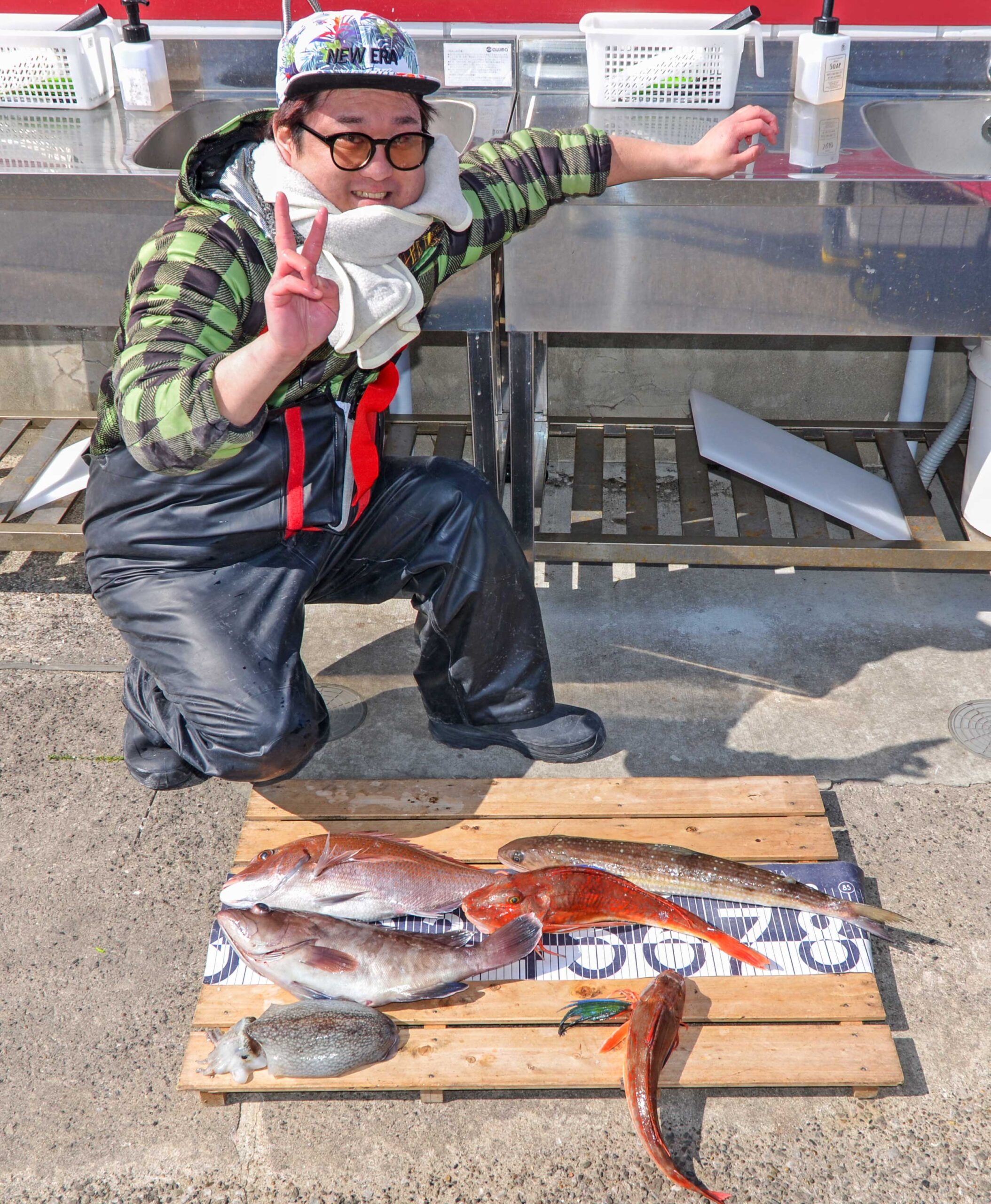 ✿マダイ・マハタ・ホウボウ・エソ・シリヤケイカ✿