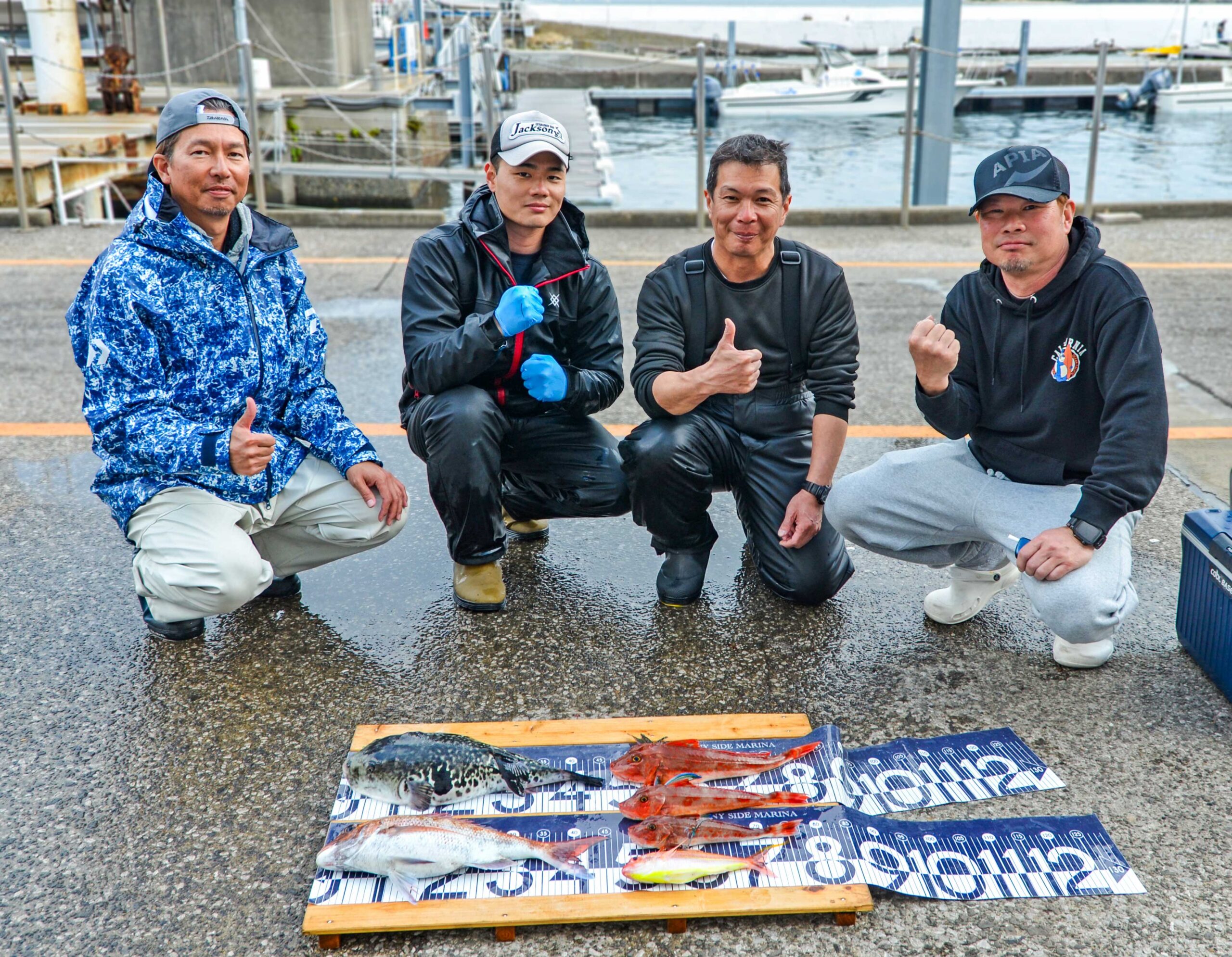 ✿マダイ・トラフグ・ホウボウ・ソコイトヨリ✿