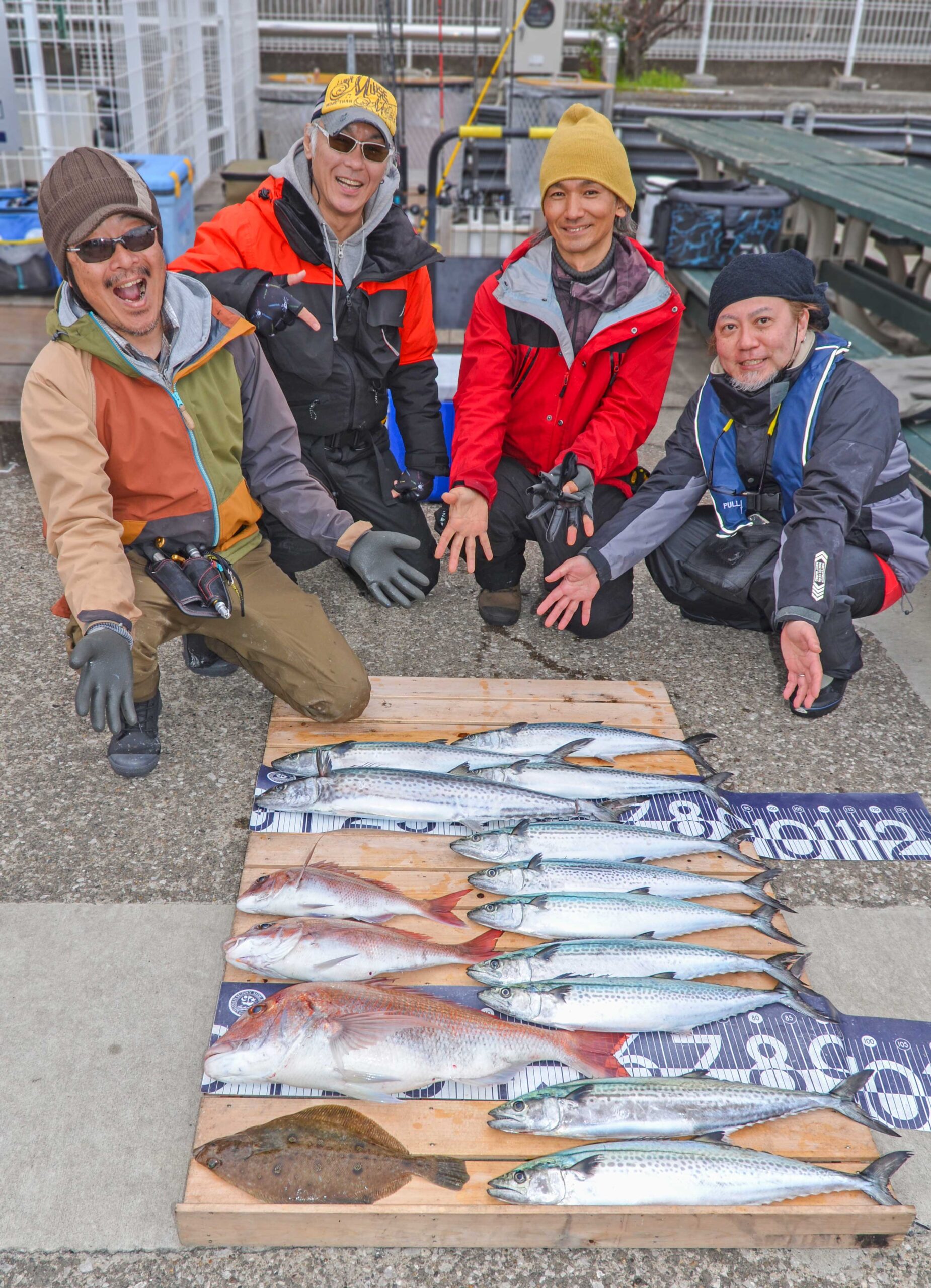 ✿サワラ・マダイ・ムシガレイ✿