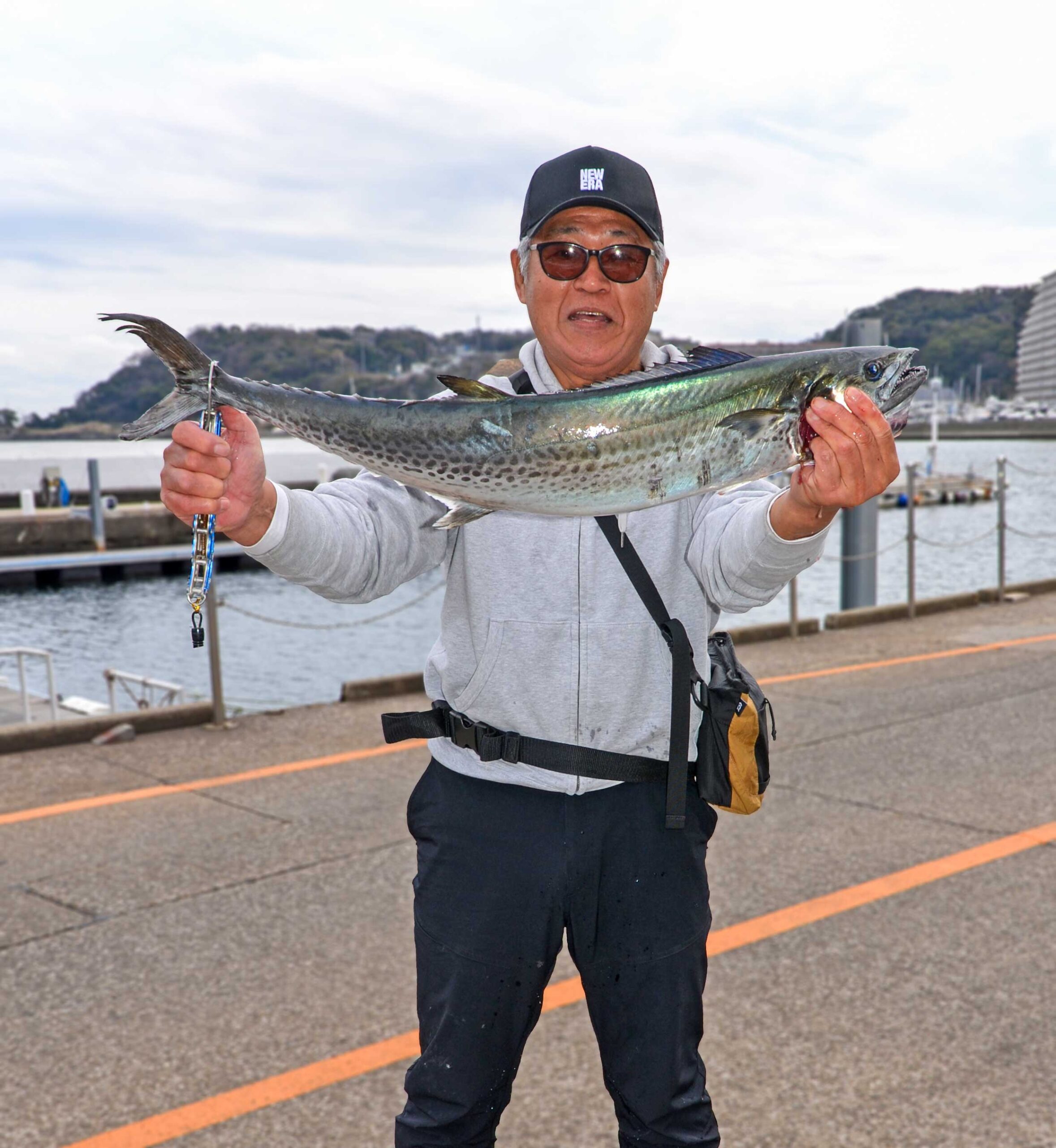 ✿サワラ・マダイ✿