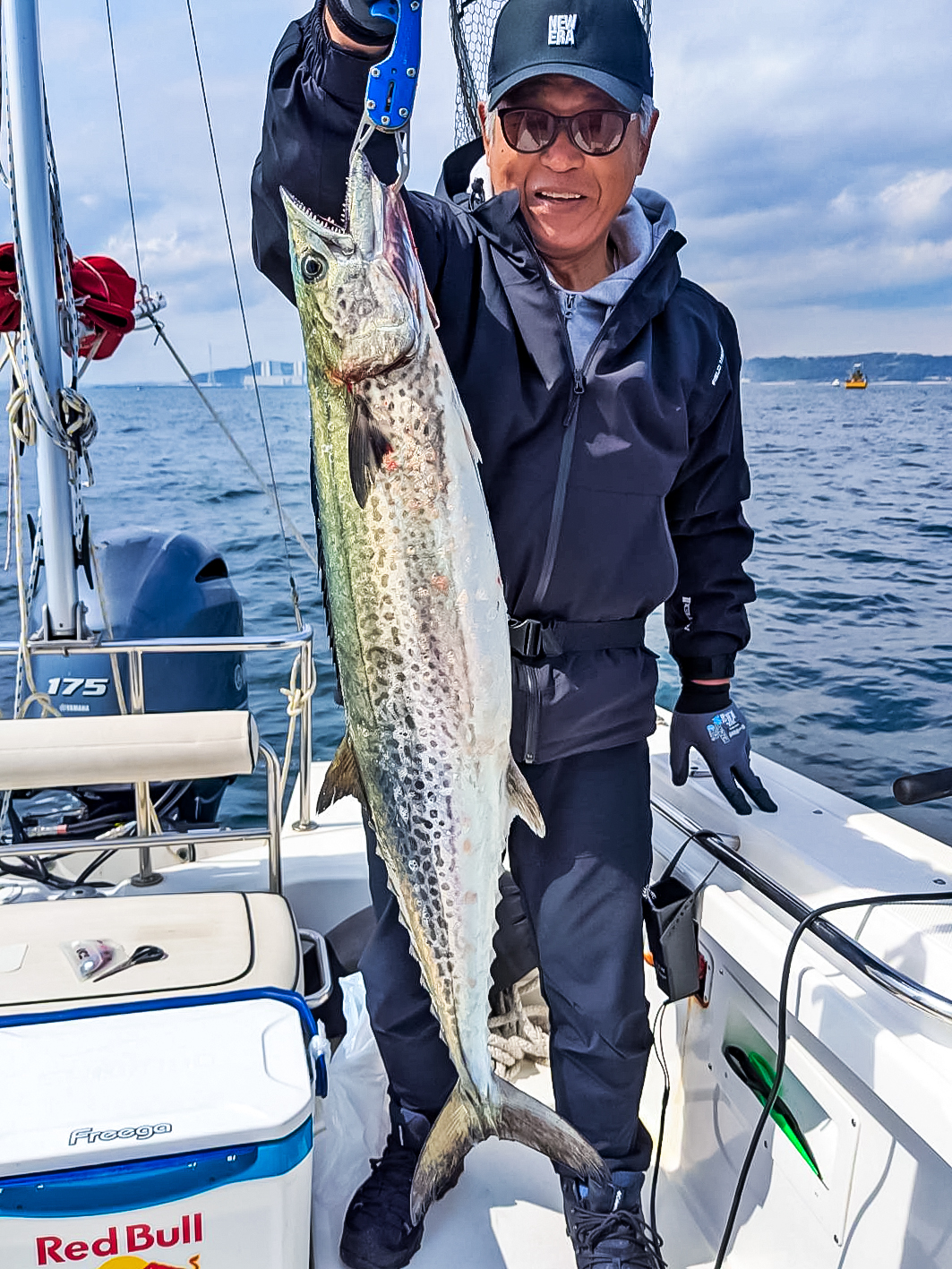 ✿サワラ・マダイ✿