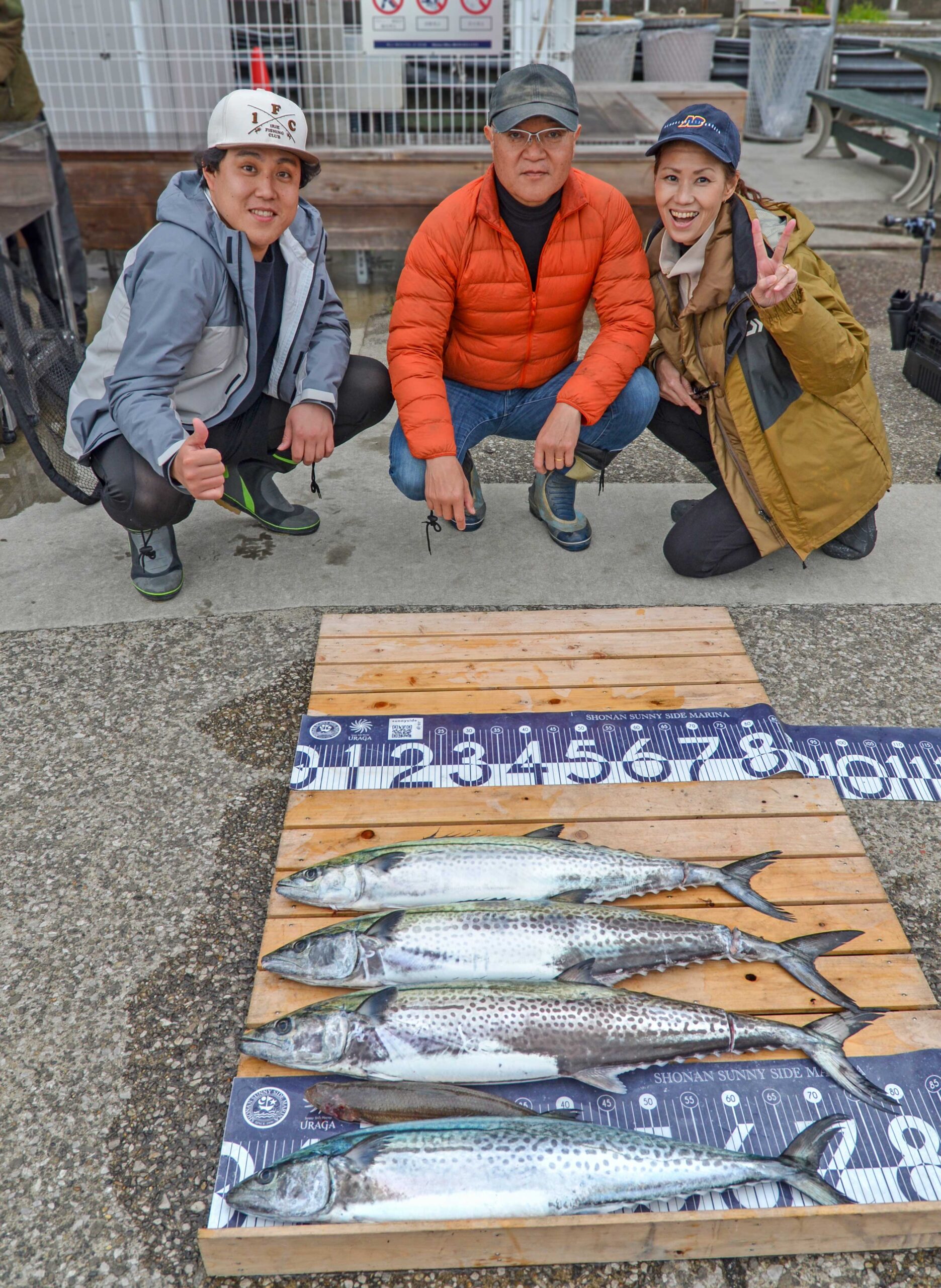 ✿サワラ・エソ✿