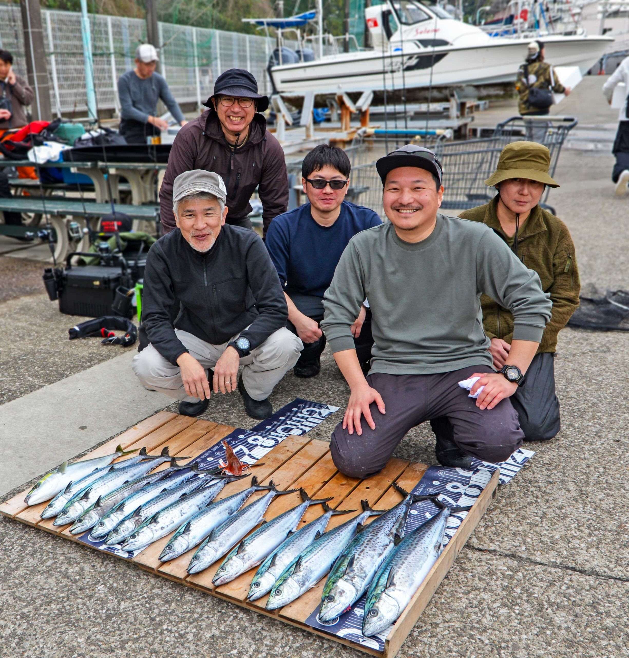 ✿サワラ・ワラサ✿