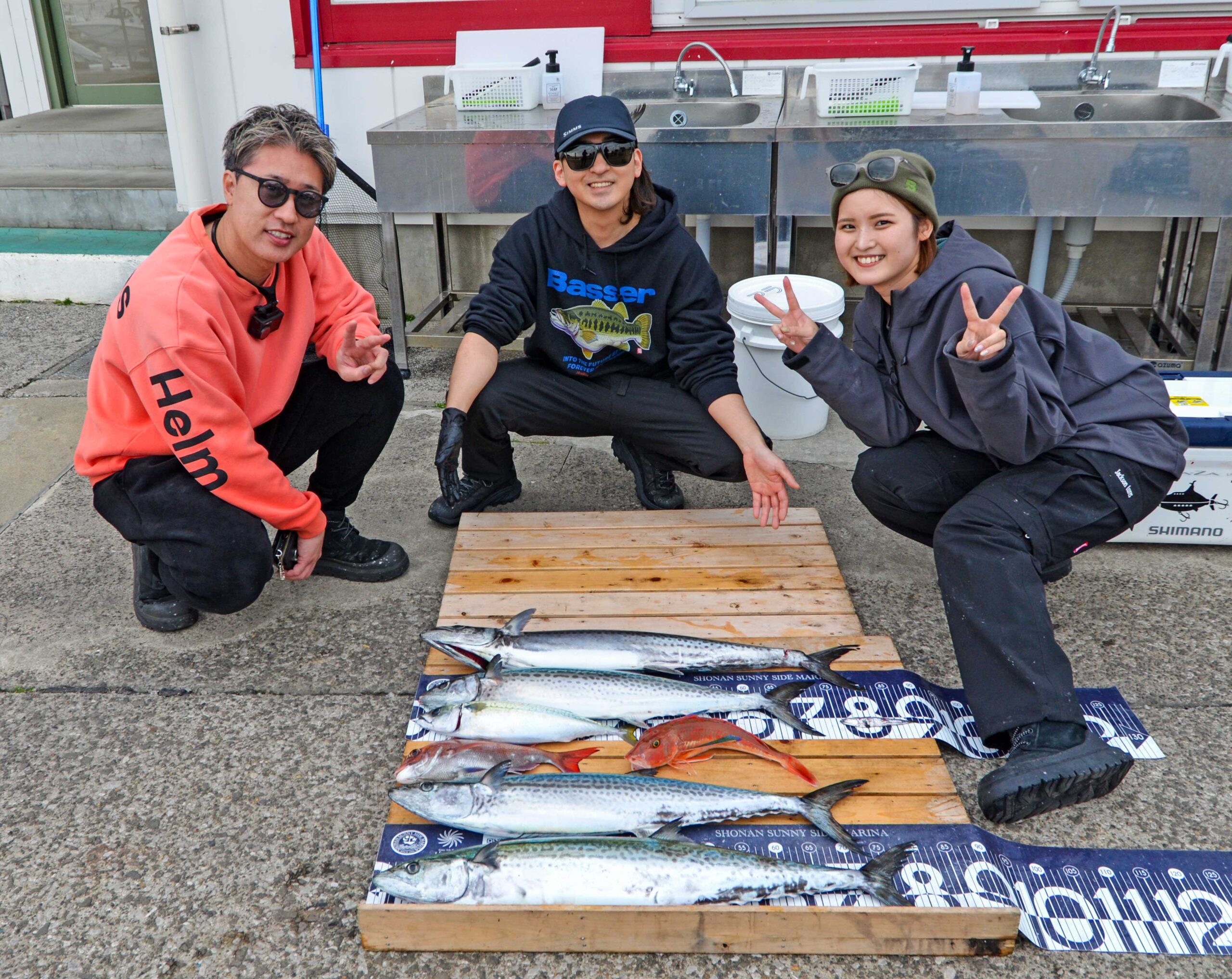 ✿サワラ・マダイ・ホウボウ・サバ✿