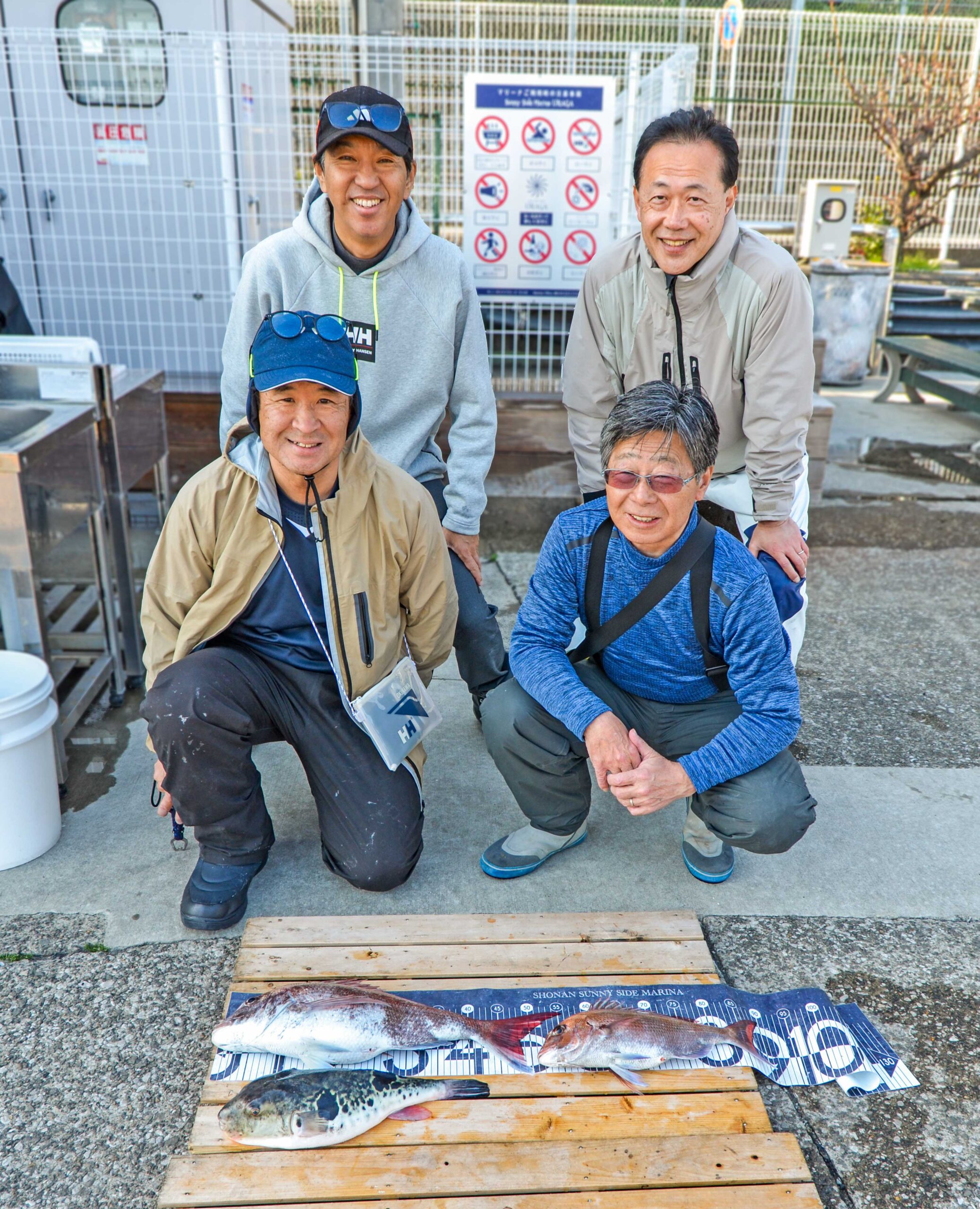 ✿マダイ・トラフグ✿