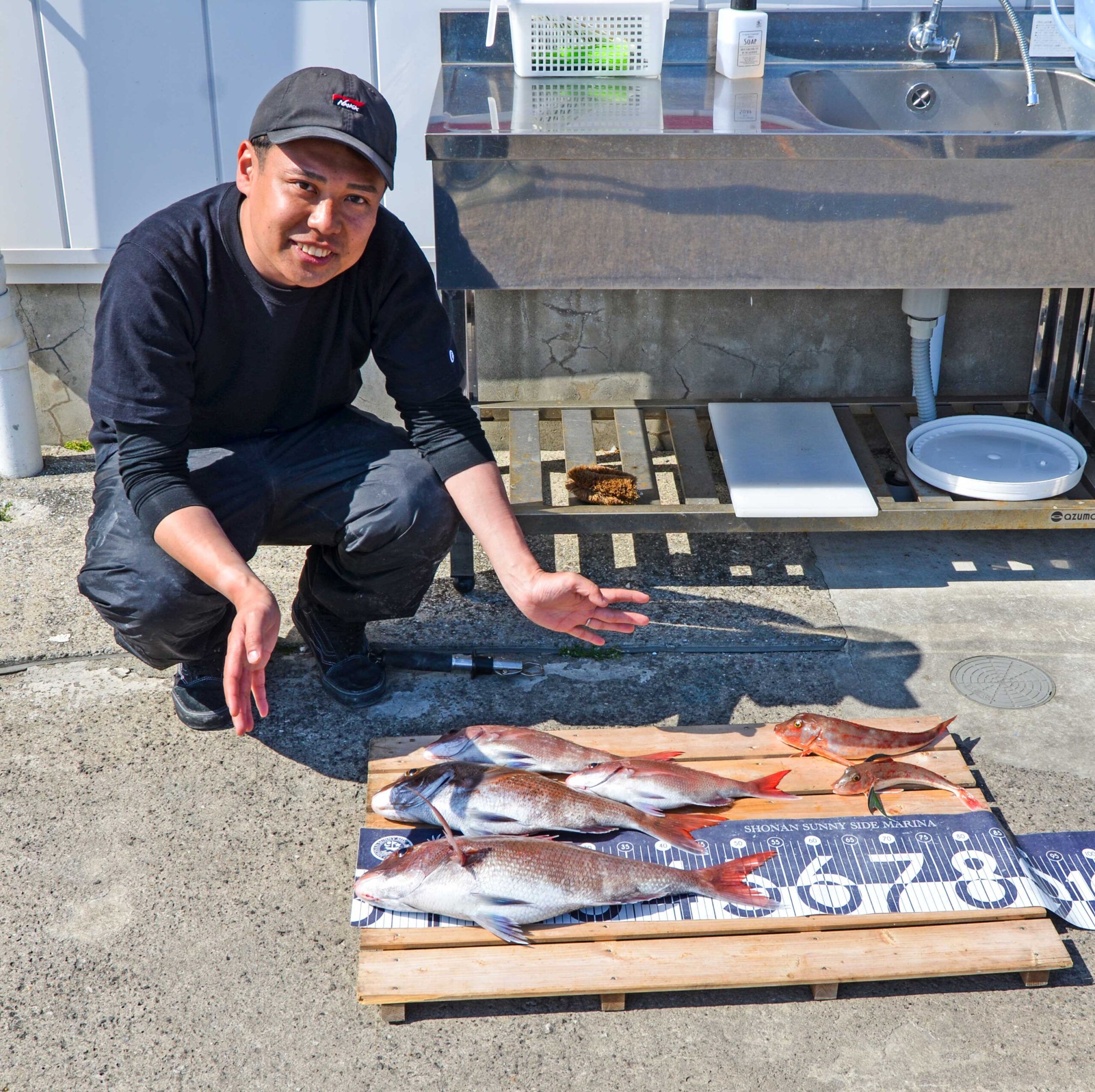 ✿マダイ・ホウボウ✿