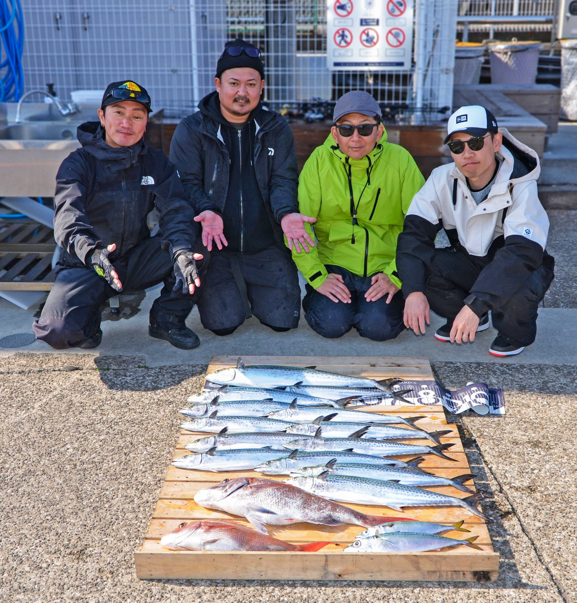 ✿サワラ・マダイ・サバ✿