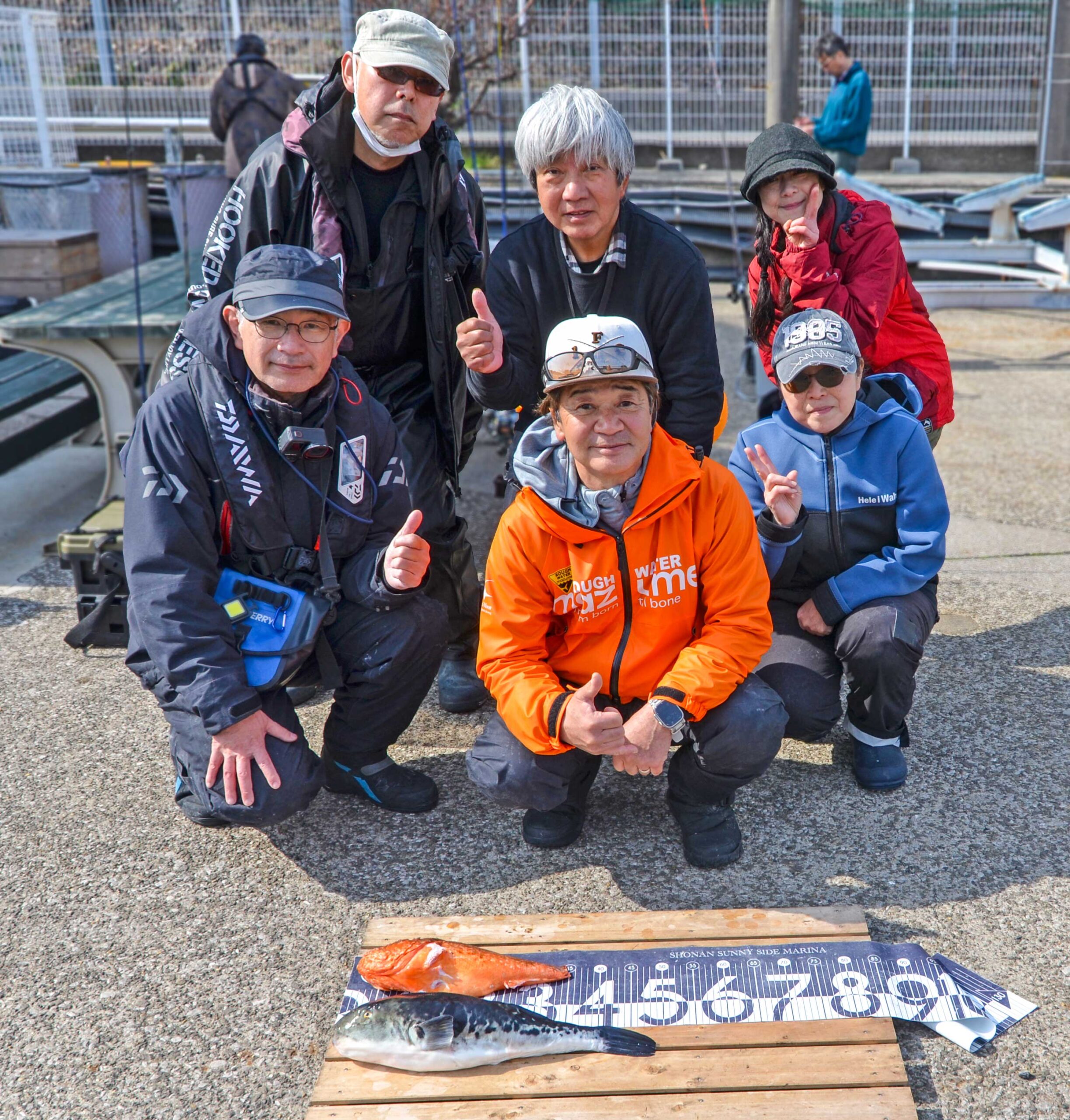 ✿オニカサゴ・トラフグ✿