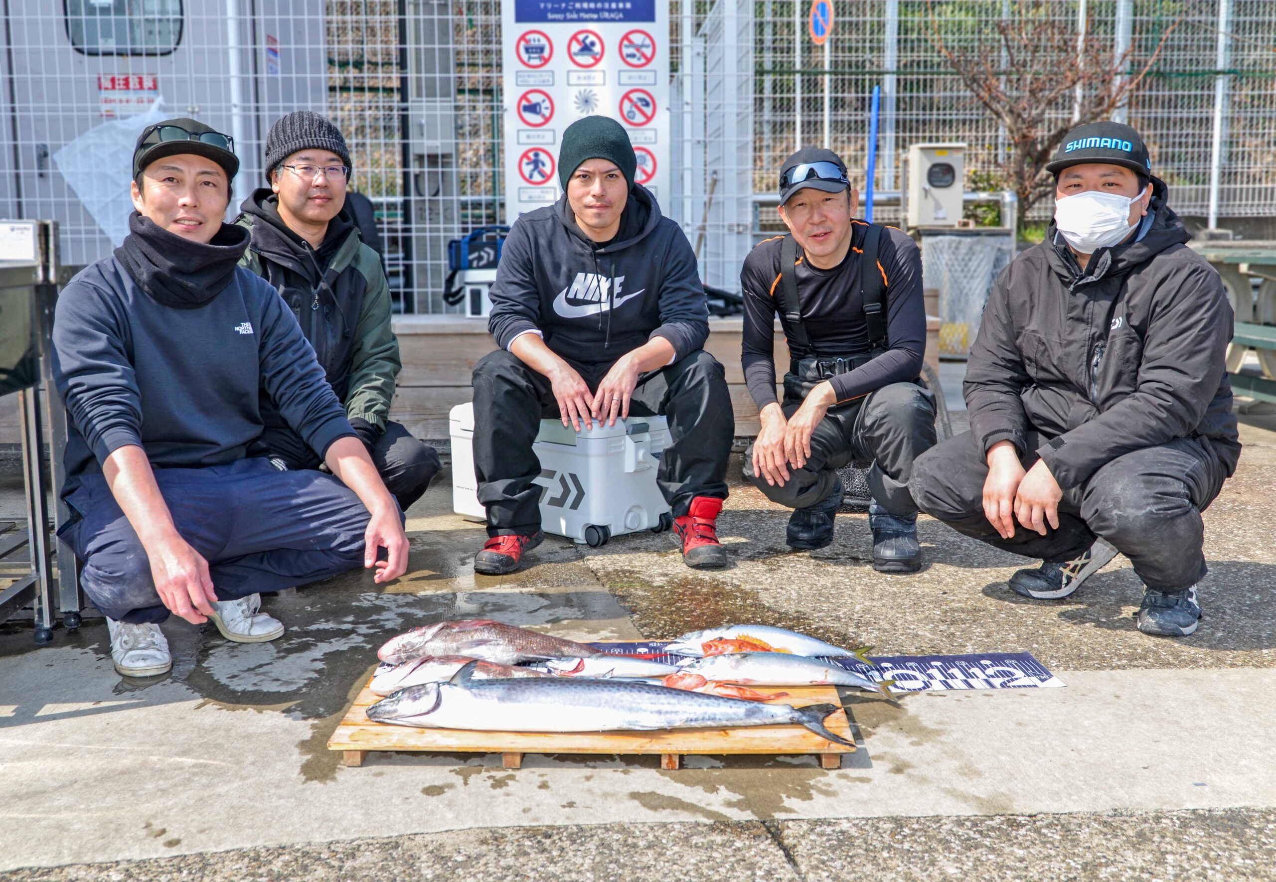 ✿マダイ・サワラ・サバ・アヤメカサゴ・ウッカリカサゴ✿