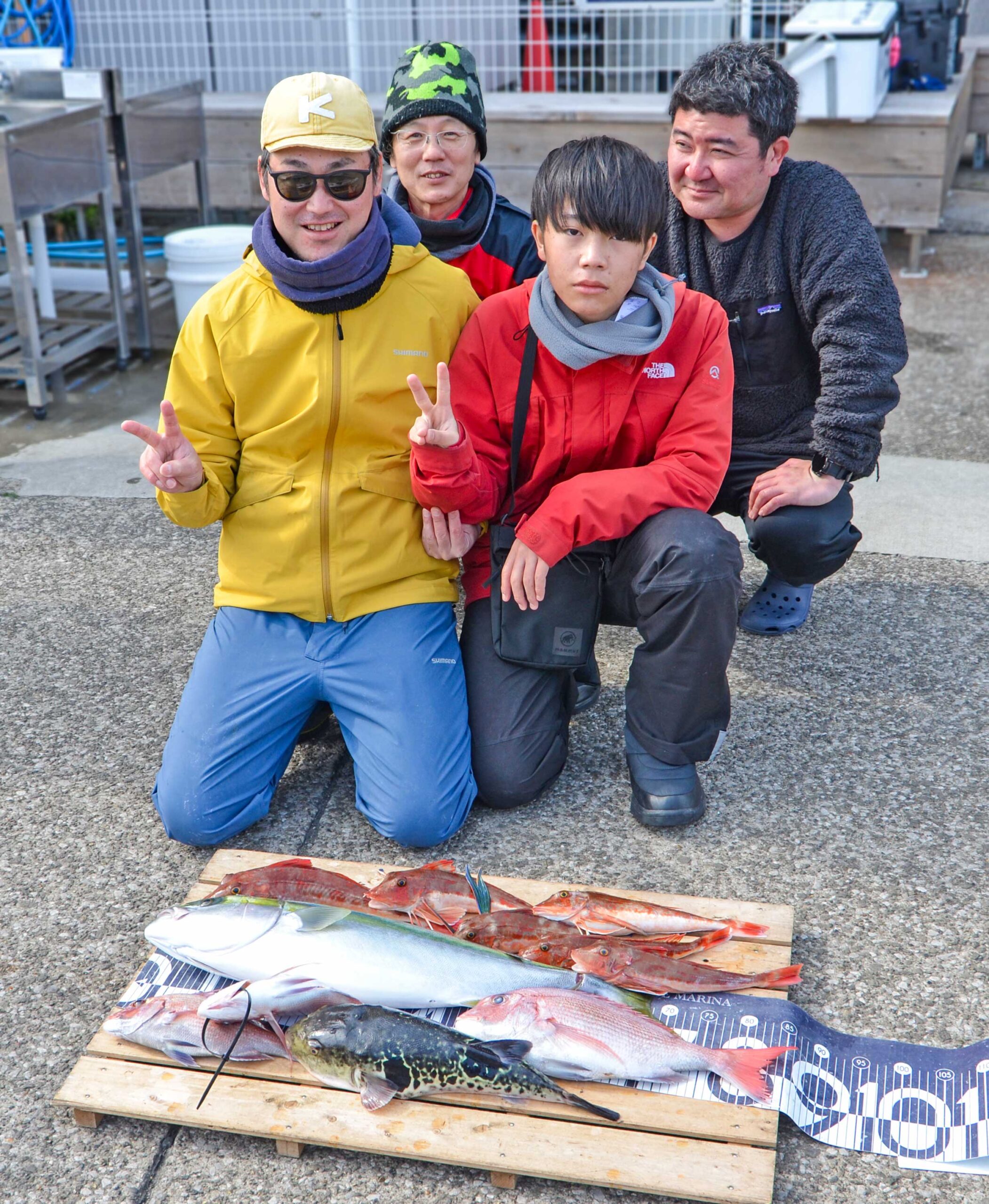 ✿ワラサ・マダイ・ホウボウ・トラフグ✿