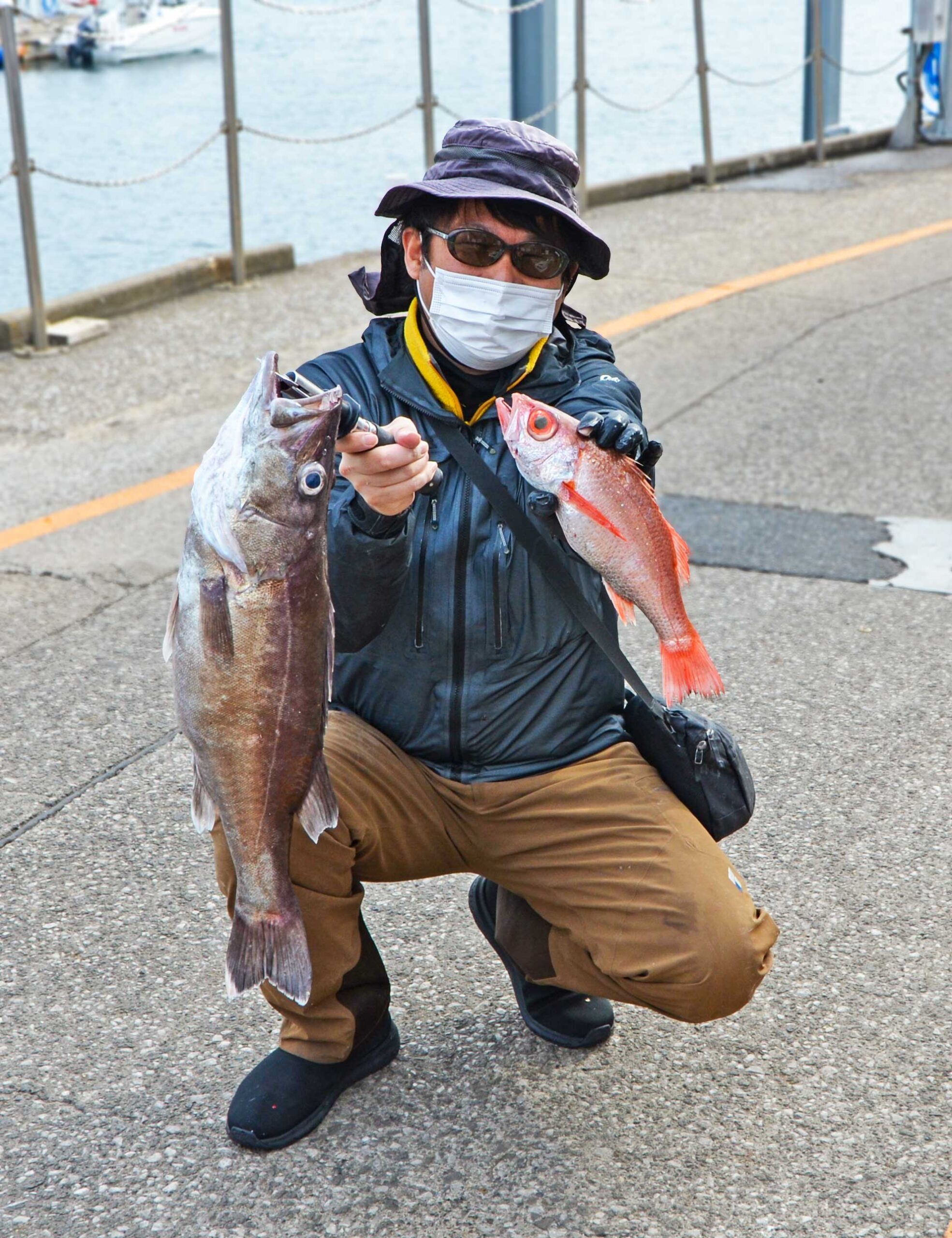 ✿アラ・アカムツ・ウッカリカサゴ✿