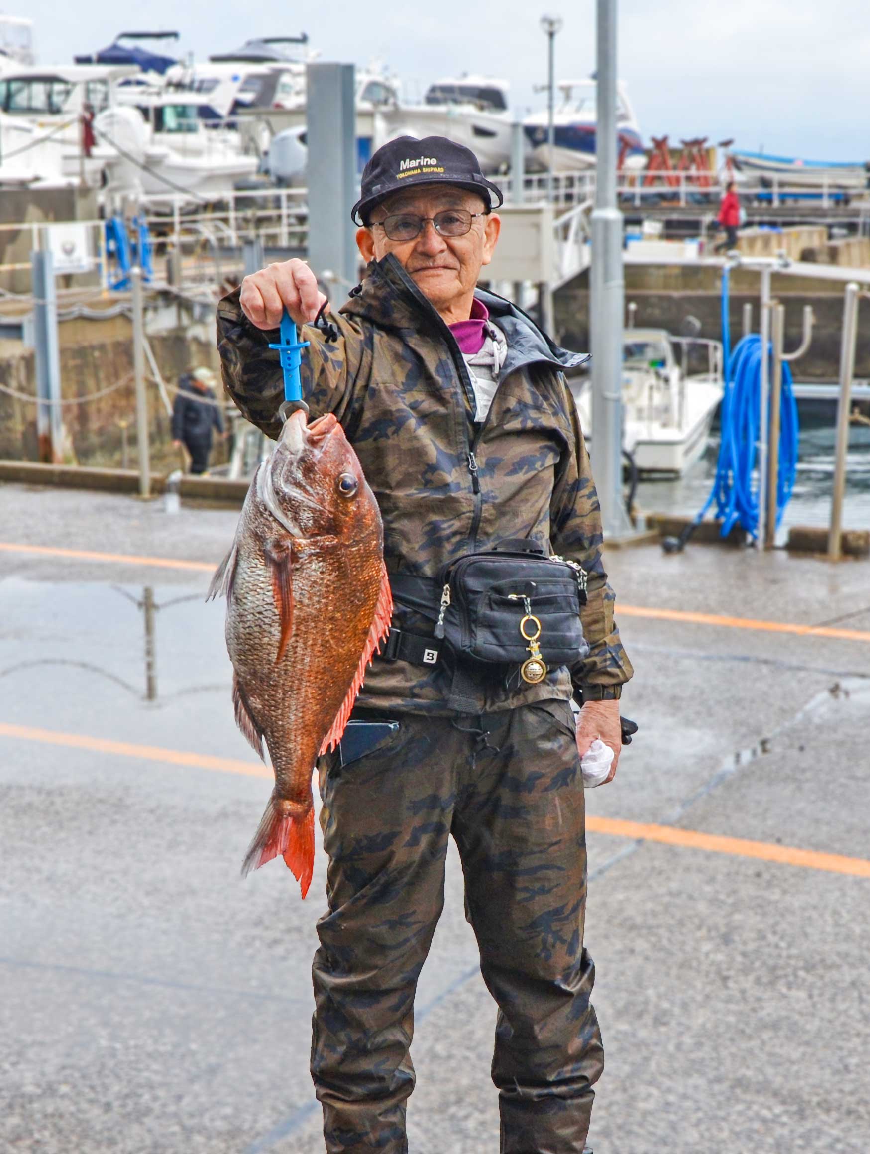 ✿マダイ・ホウボウ✿