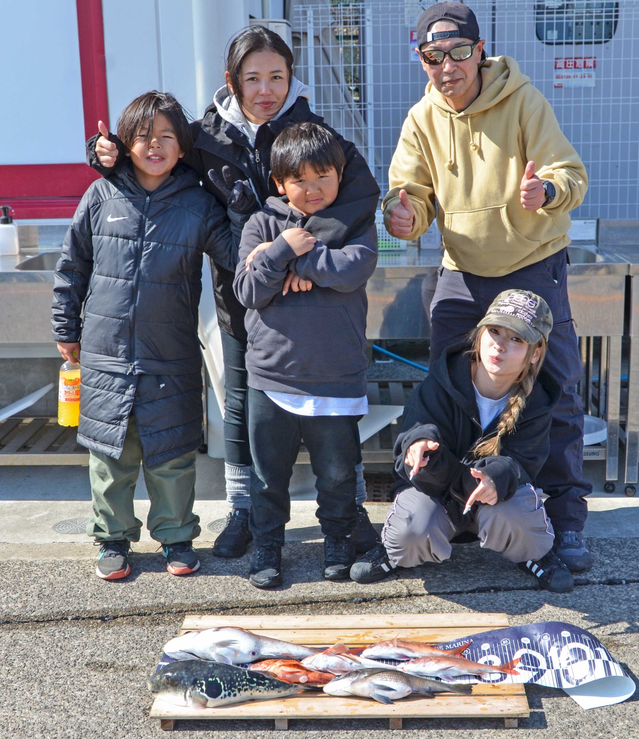 ✿マダイ・トラフグ・クロダイ・カサゴ・ホウボウ✿