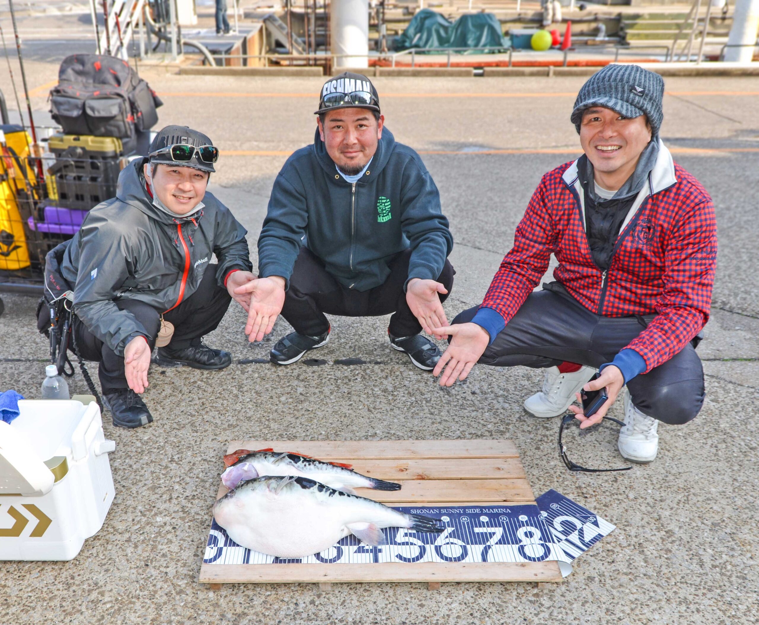 ✿トラフグ・ホウボウ✿