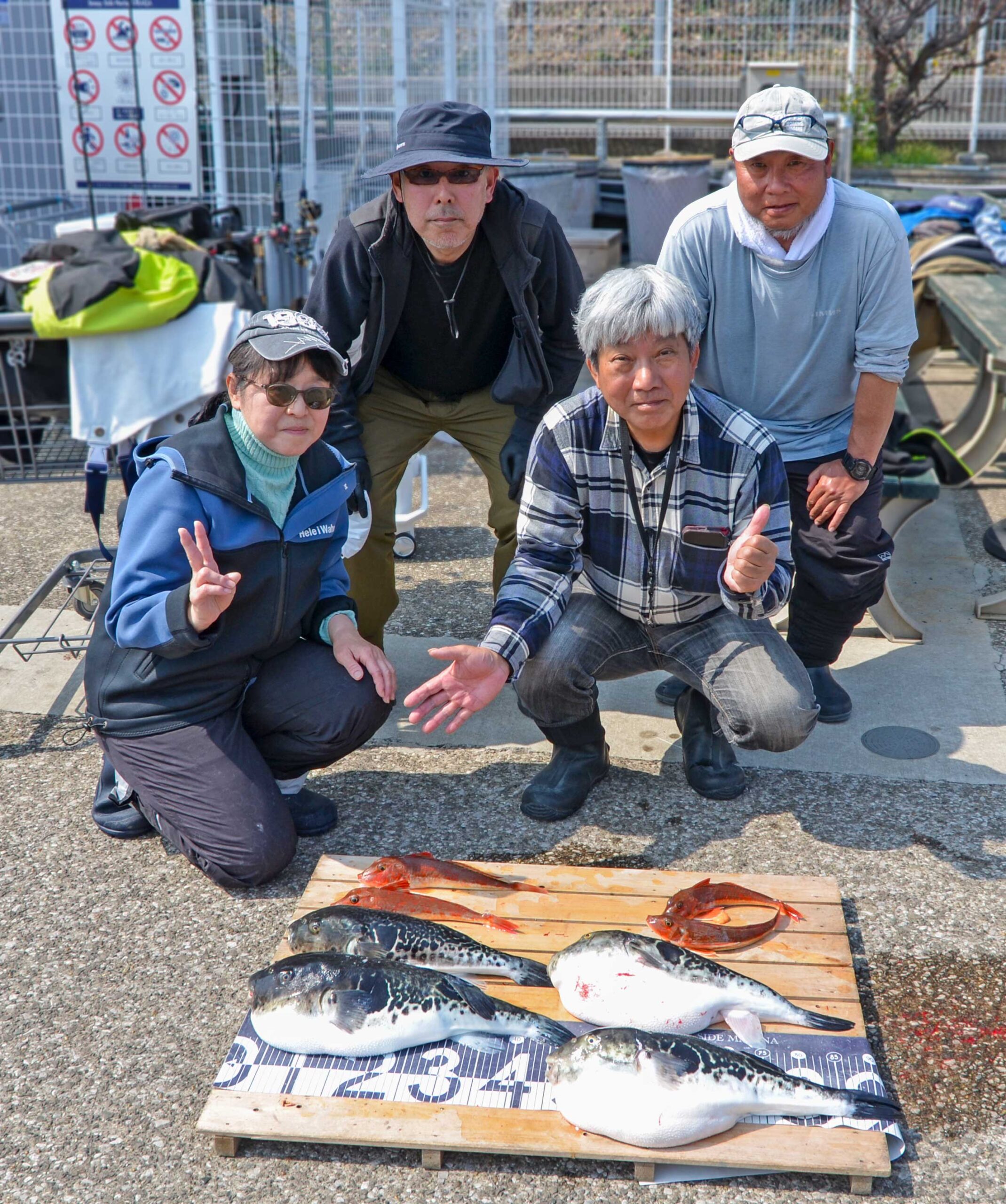 ✿トラフグ・ホウボウ✿