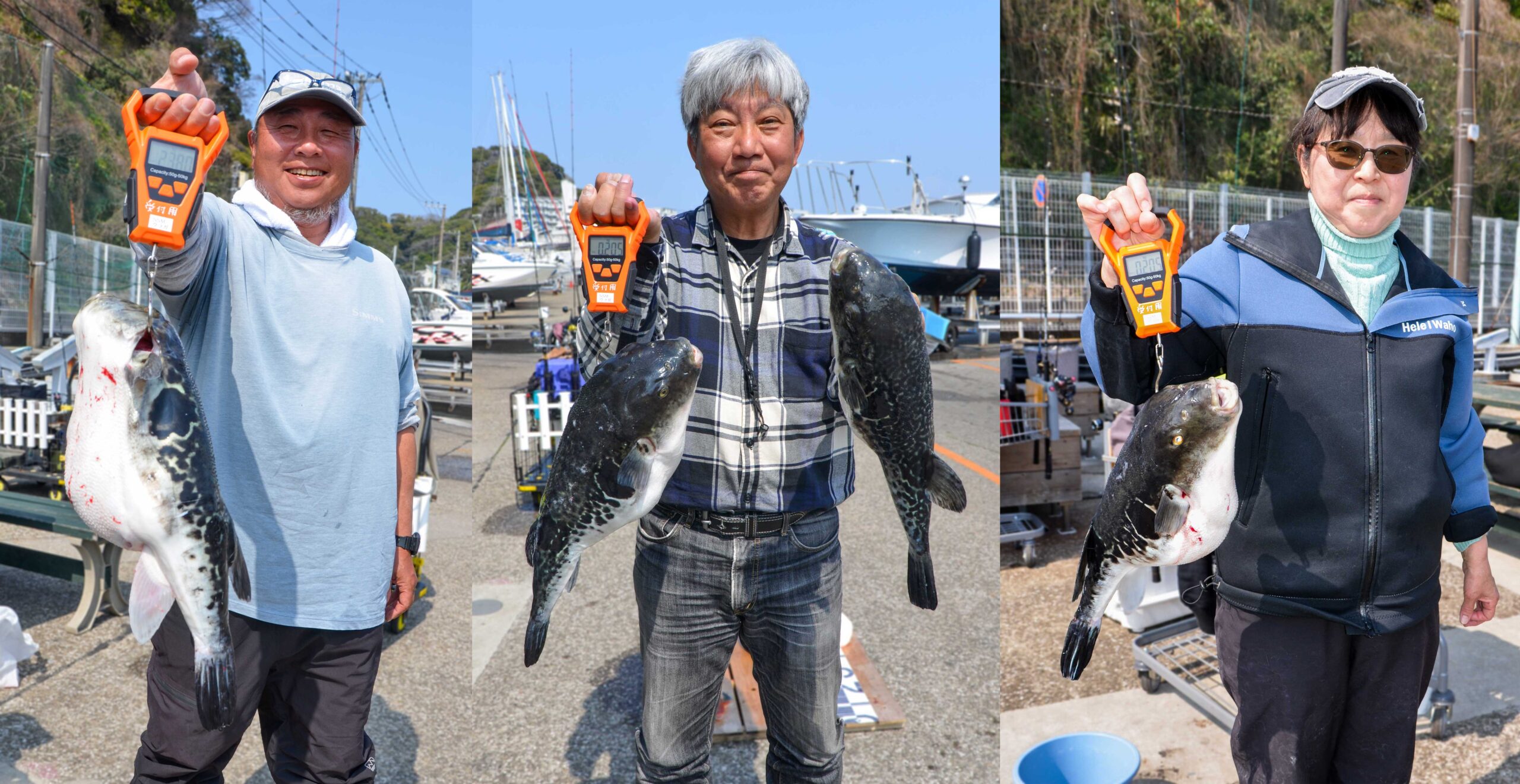 ✿トラフグ・ホウボウ✿