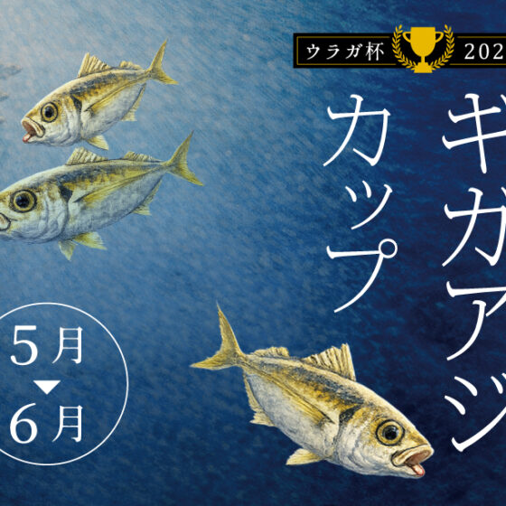 目指せ50cmオーバー「ギガアジカップ🏆2026」開催‼️