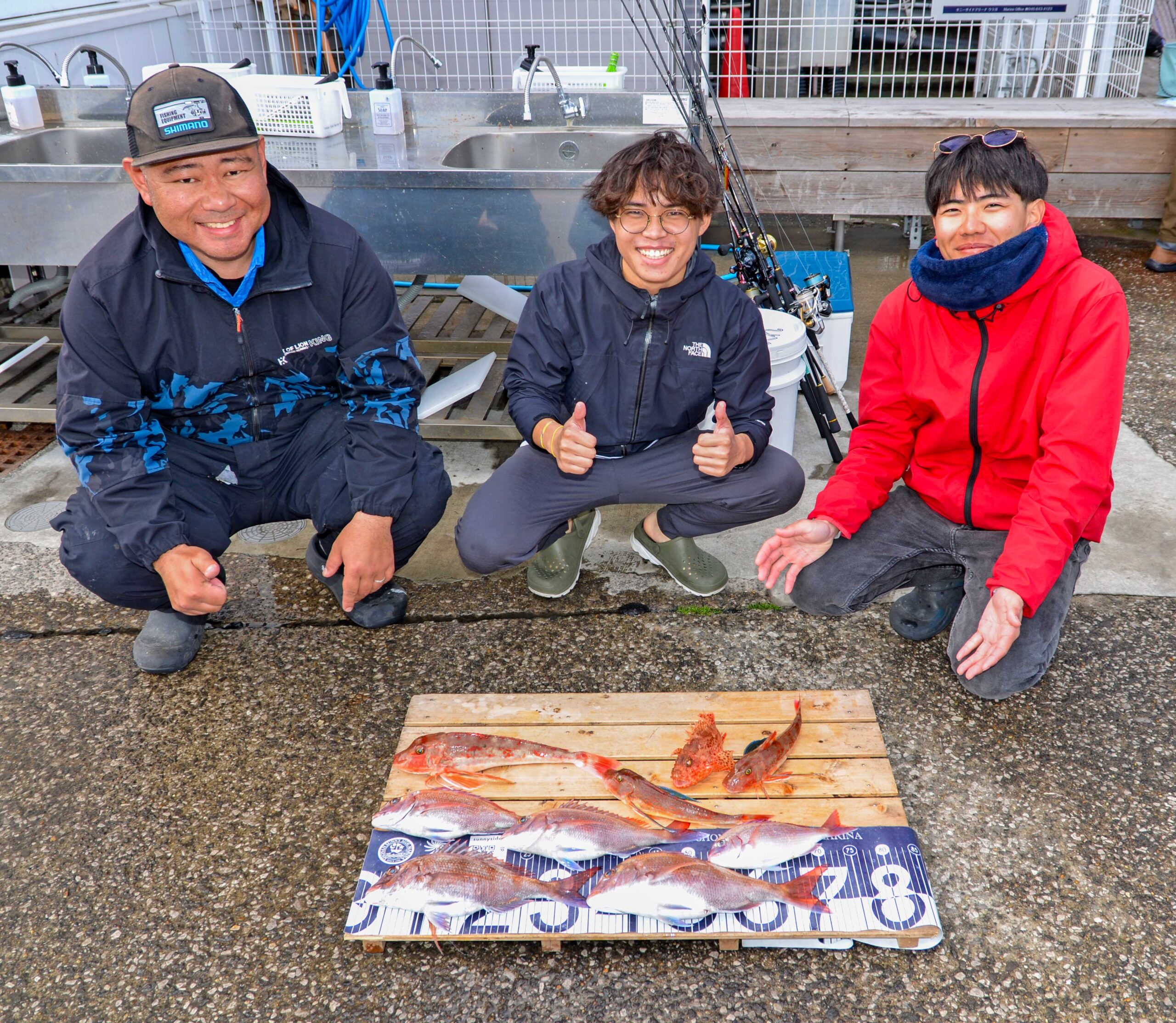✿マダイ・ホウボウ・チダイ・オニカサゴ✿