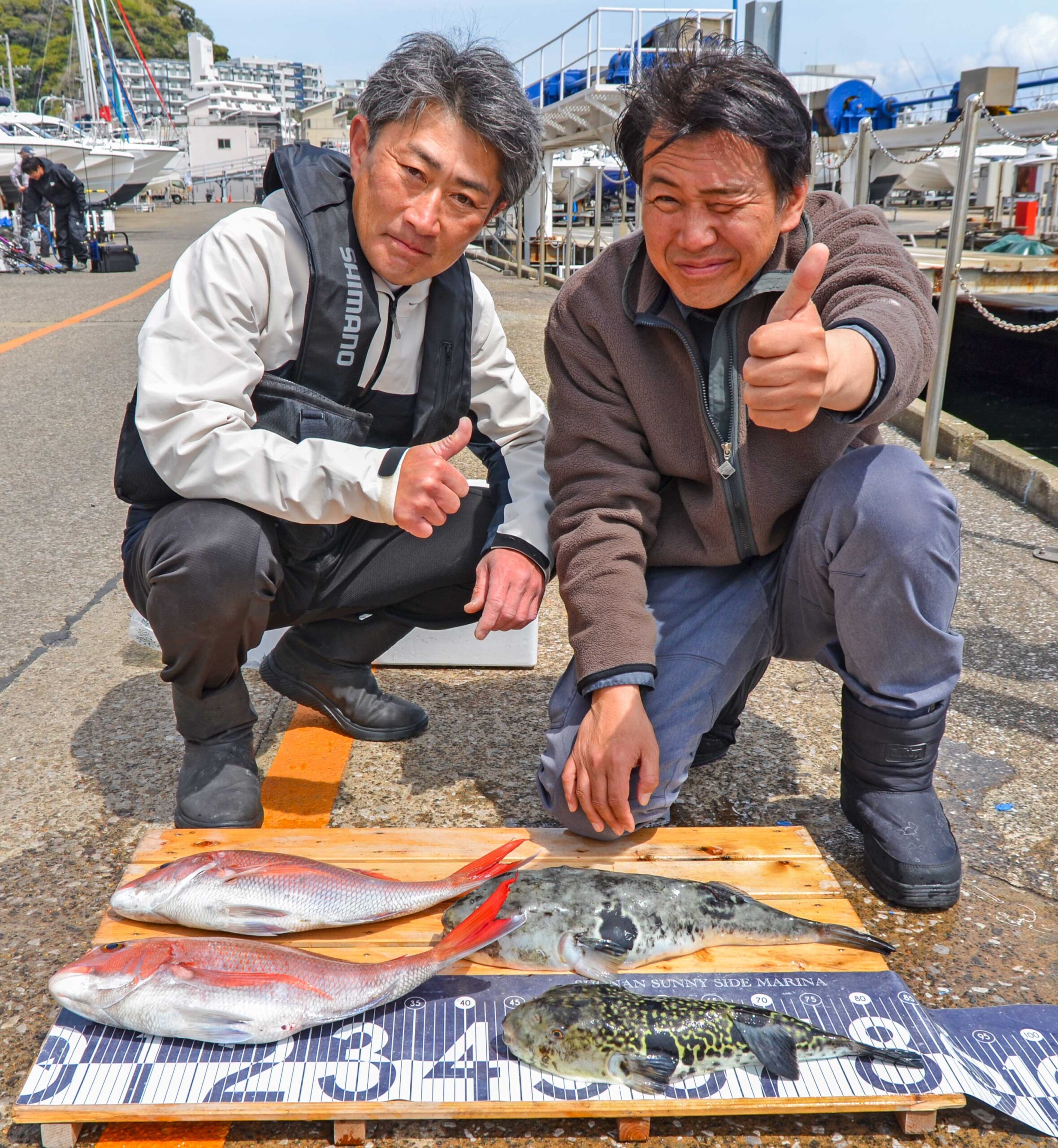 ✿マダイ・トラフグ✿