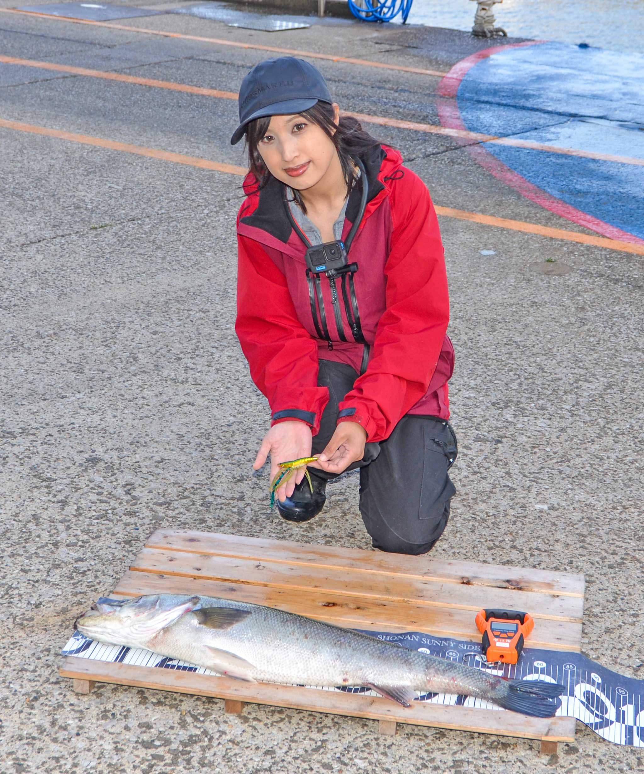 ✿シーバス(スズキ)✿