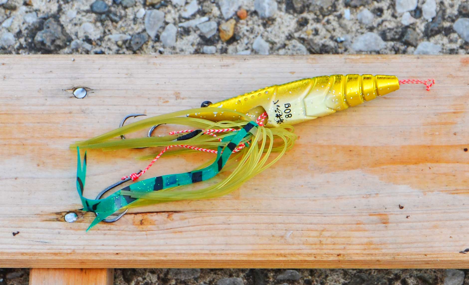 ✿シーバス(スズキ)✿