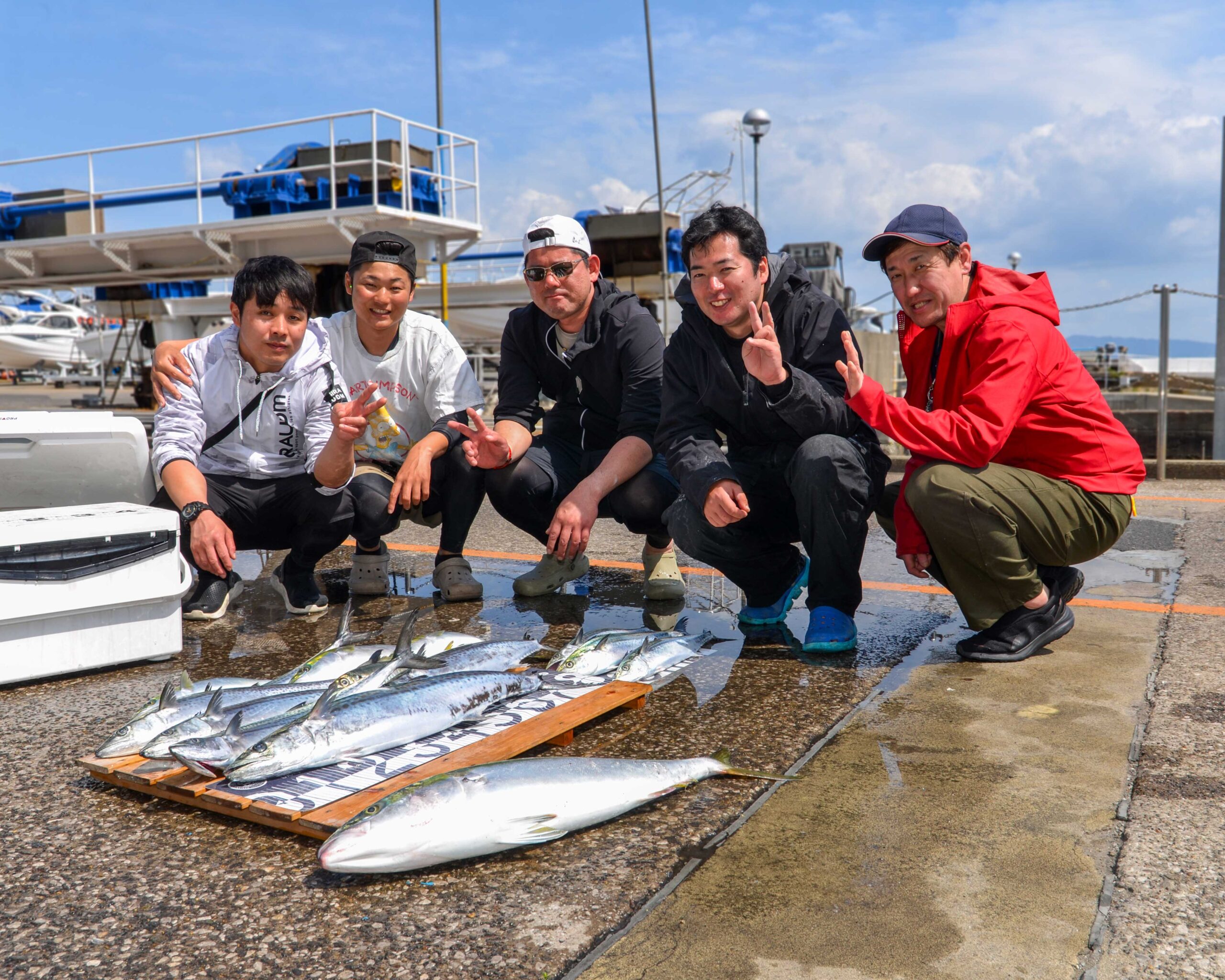 ✿ブリ・サワラ・イナダ・サゴシ・アジ✿