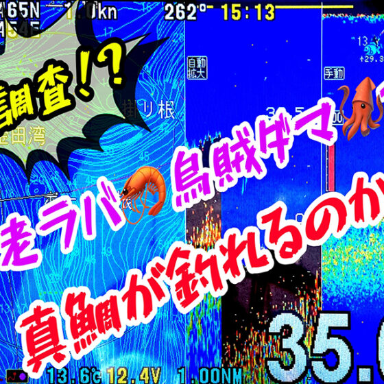 浦賀タイラバ見習い調査隊🔰覚醒編🎣海老＆烏賊でマダイを釣る⁉️