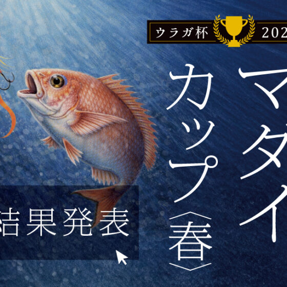 🎖️結果発表🎖️「マダイカップ🏆2026春」