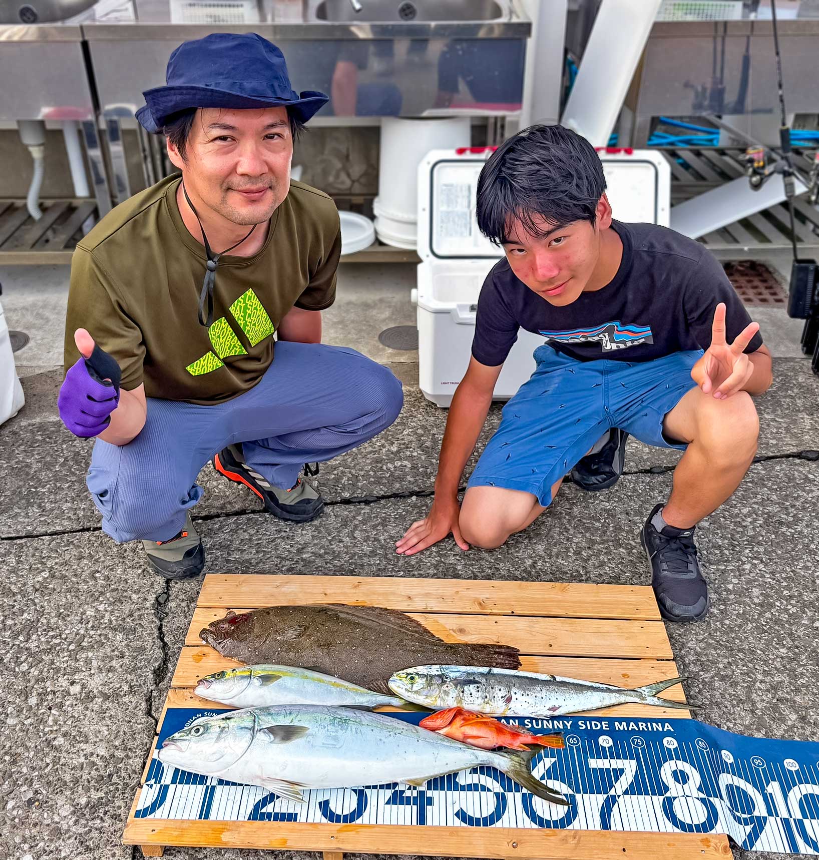 ✿ヒラメ・ワラサ・イナダ・シイラ・アヤメカサゴ✿