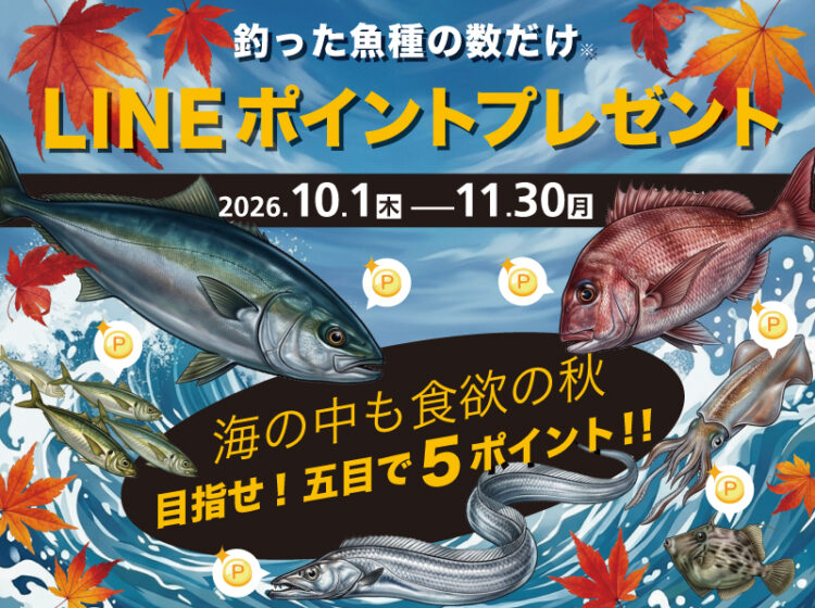 Sea-Style★五目釣ったら５ポイント★秋のポイントアップ特別企画