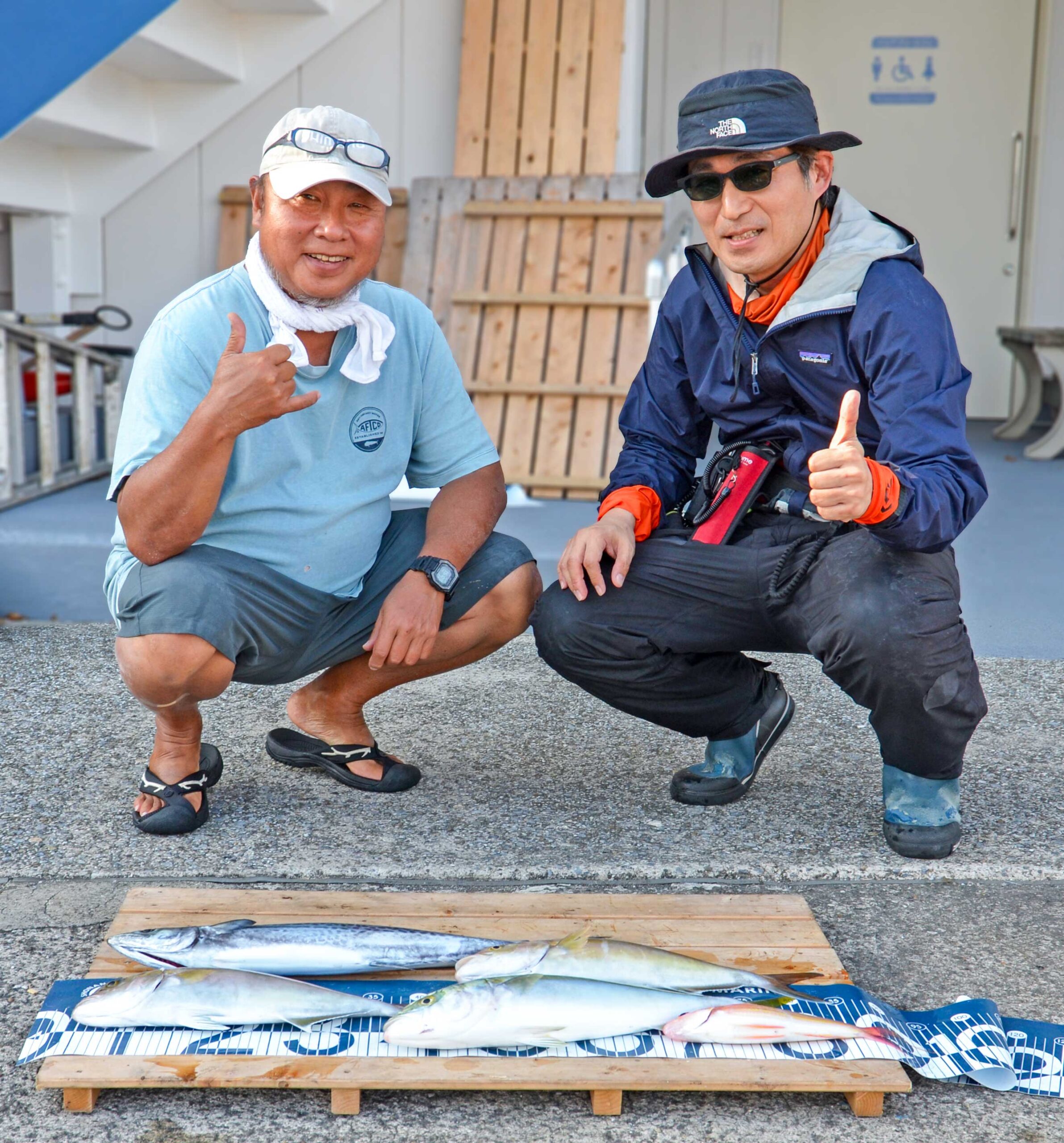✿サゴシ・ショゴ・イナダ・イトヨリダイ✿